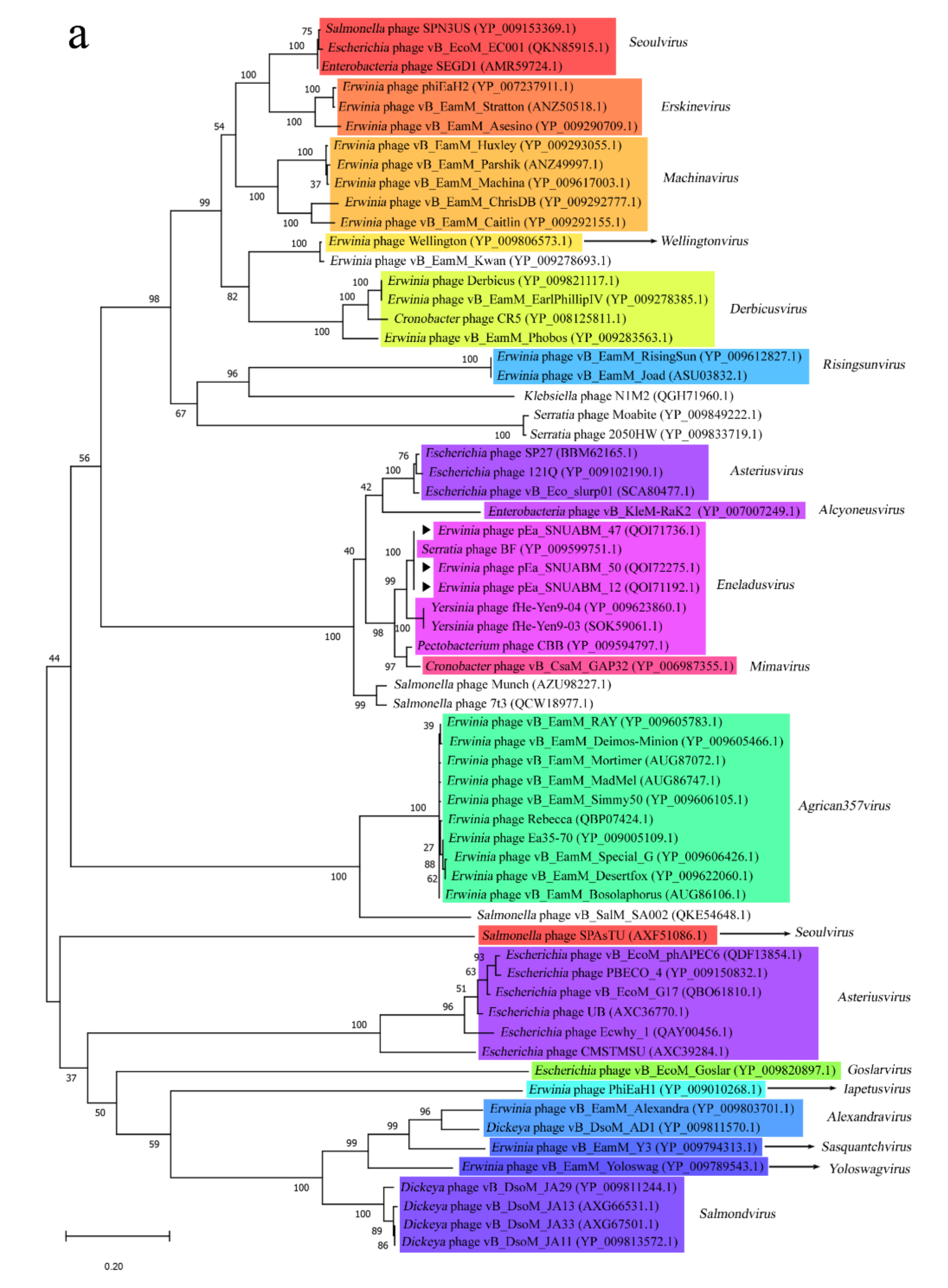 Viruses 12 01373 g004a