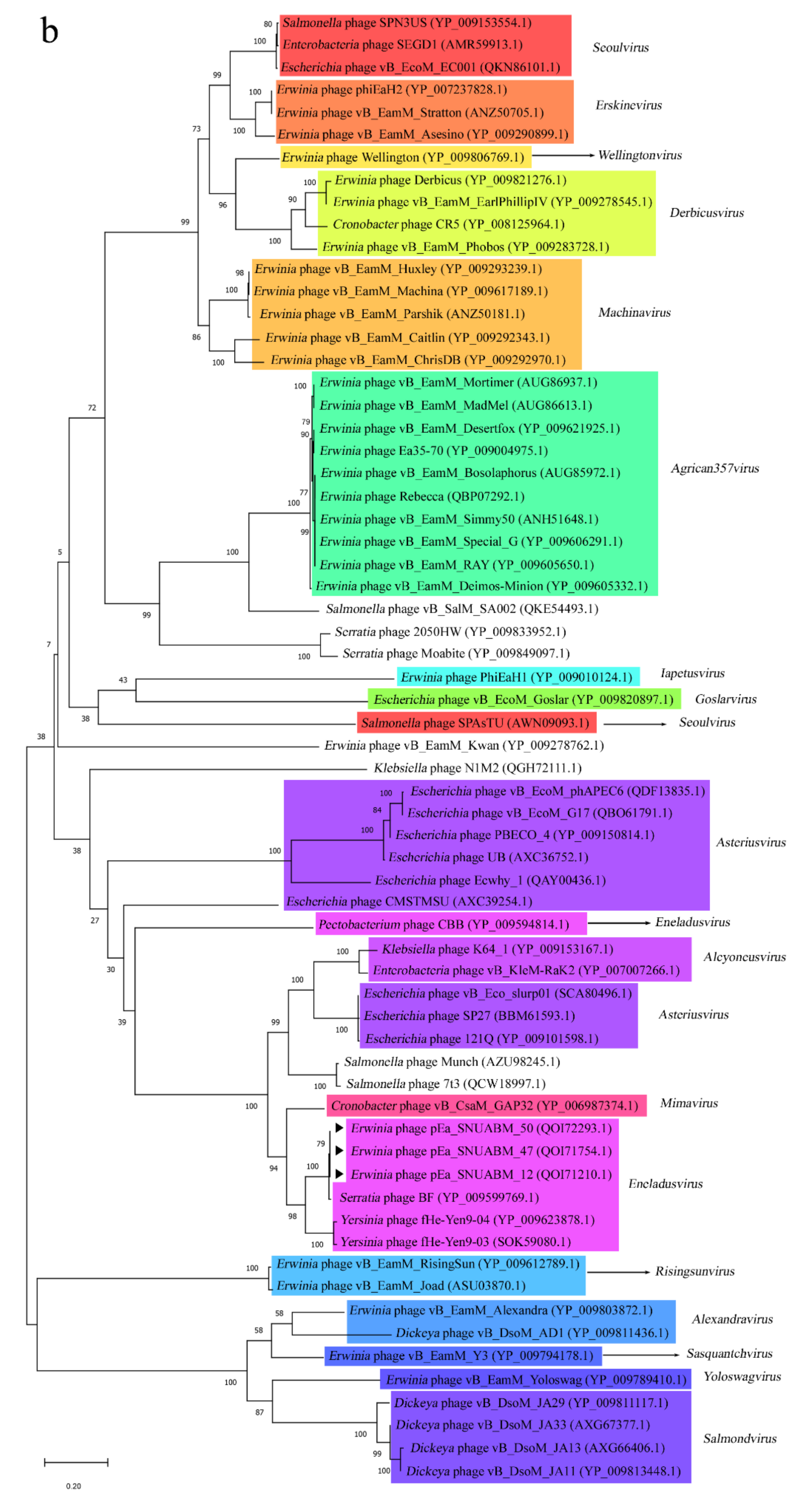 Viruses 12 01373 g004b