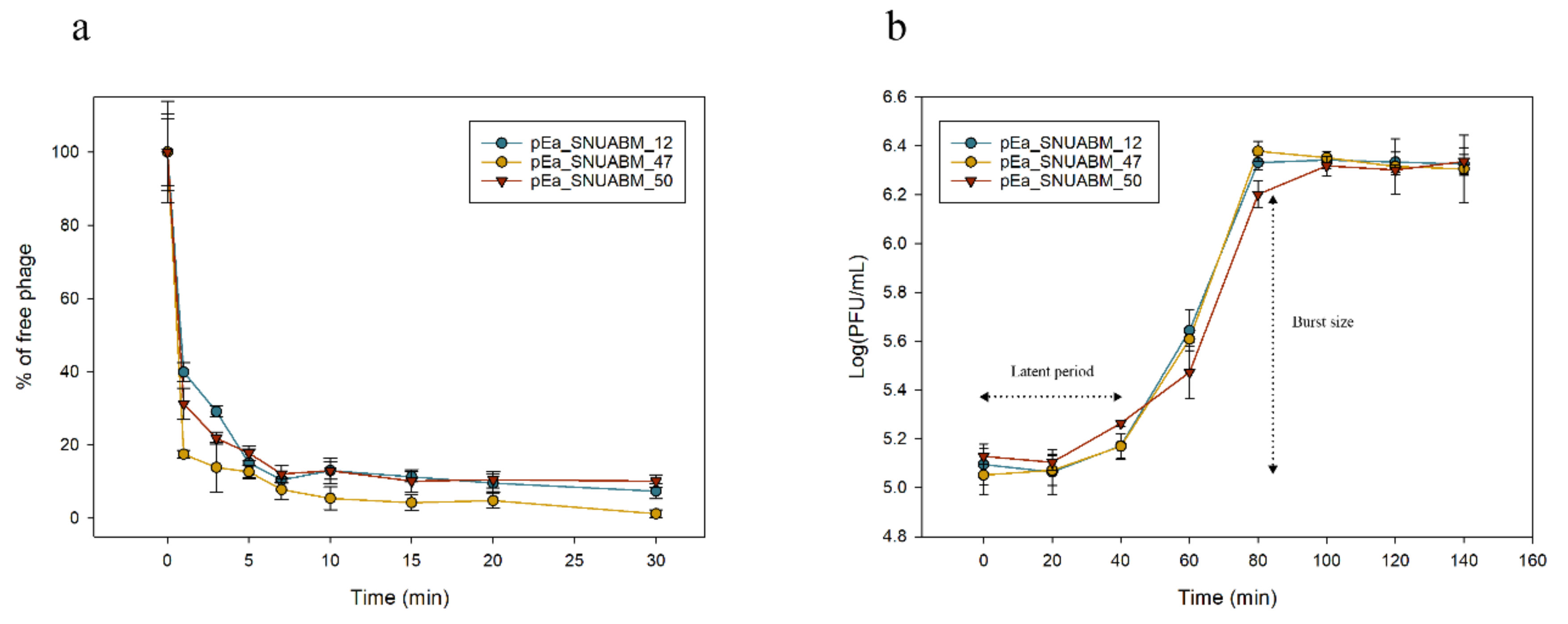Viruses 12 01373 g007