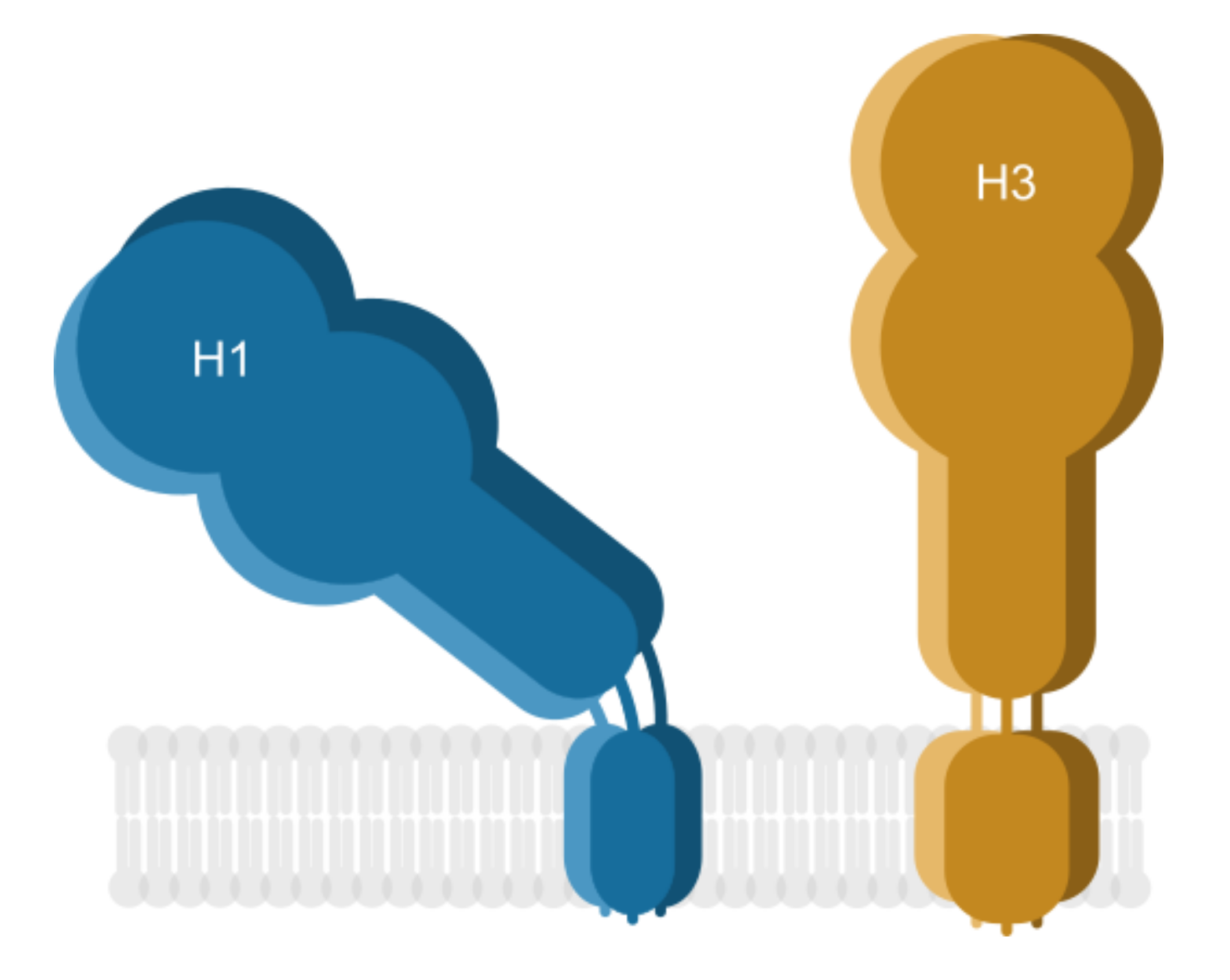 Viruses 12 01461 g006