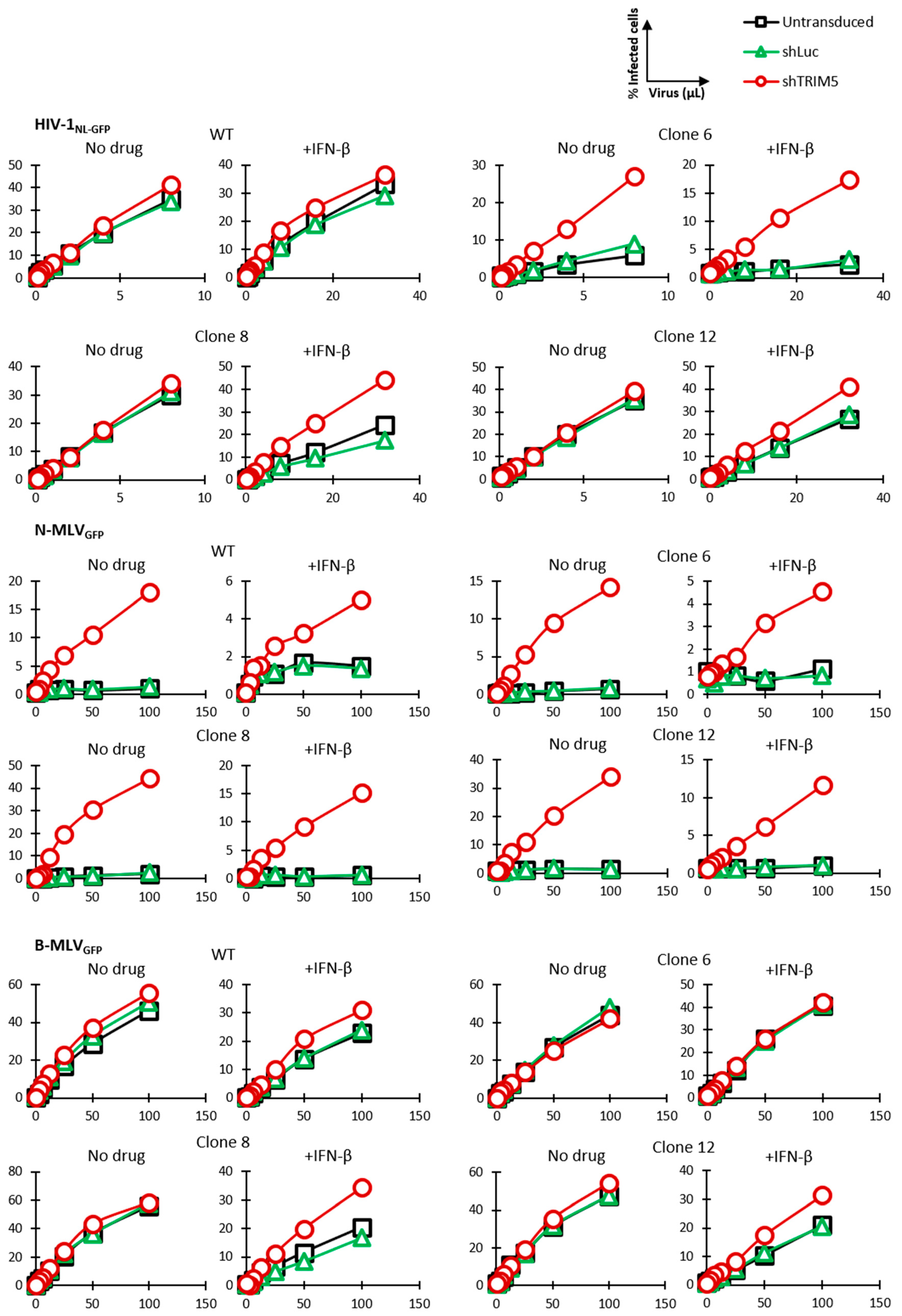 Viruses 13 00024 g004 Viruses 13 00024 g004