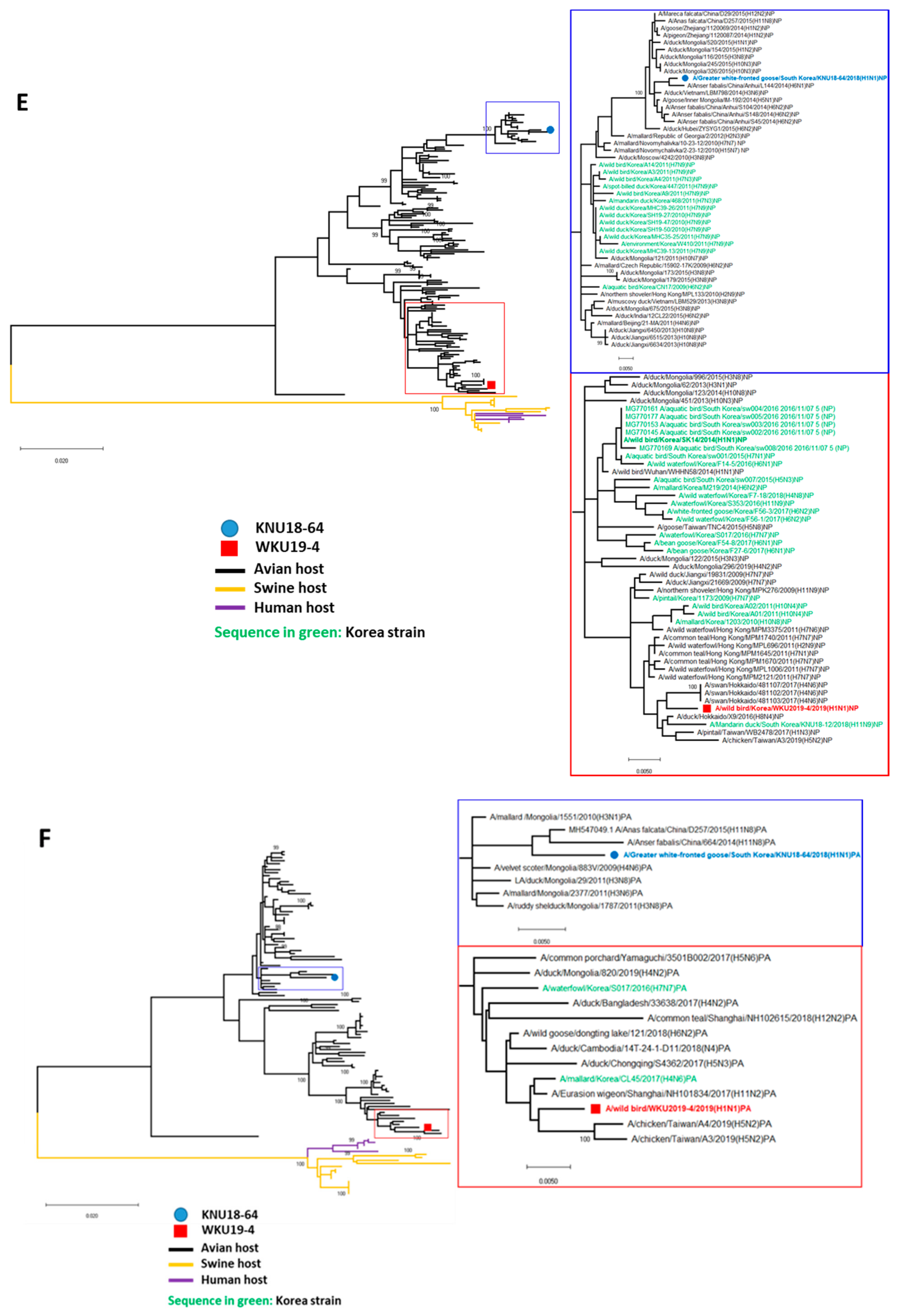 Viruses 13 00030 g002c
