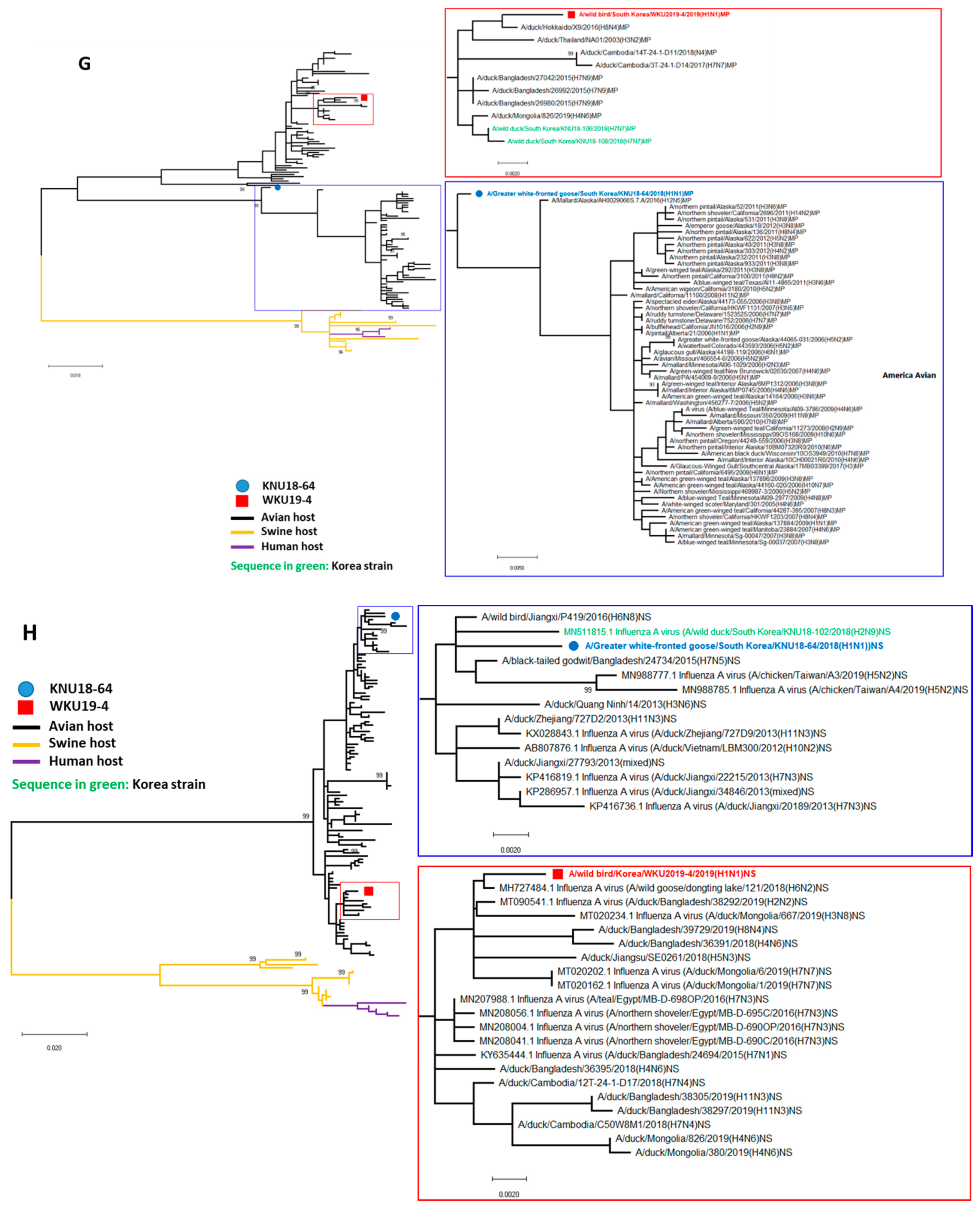 Viruses 13 00030 g002d
