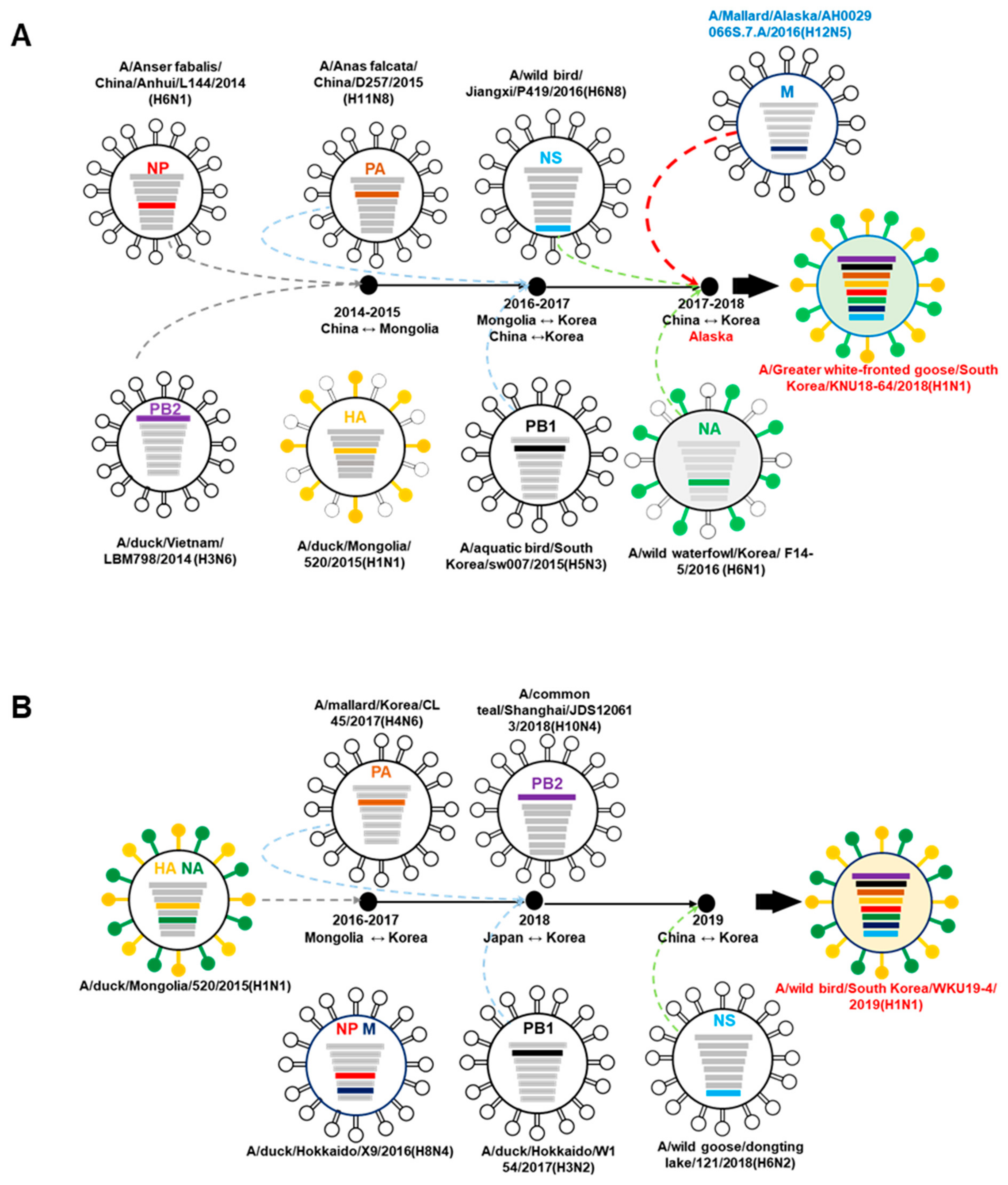 Viruses 13 00030 g003