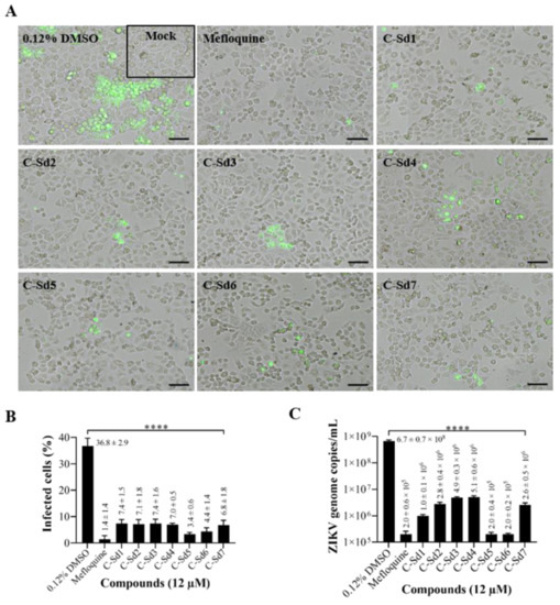 Viruses Free Full Text Chloroquine And Sulfadoxine Derivatives Inhibit Zikv Replication In Cervical Cells Html