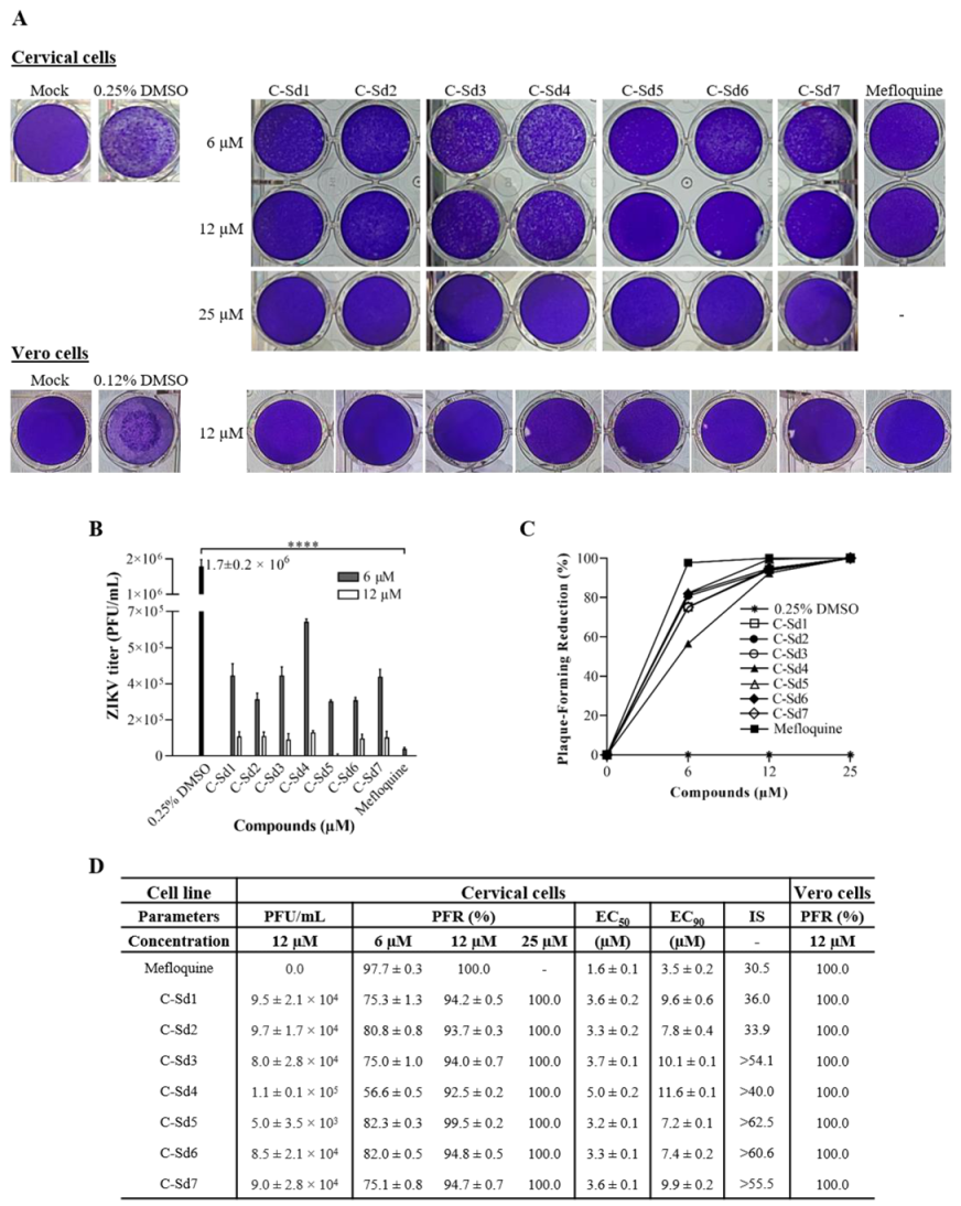 Viruses Free Full Text Chloroquine And Sulfadoxine Derivatives Inhibit Zikv Replication In Cervical Cells Html