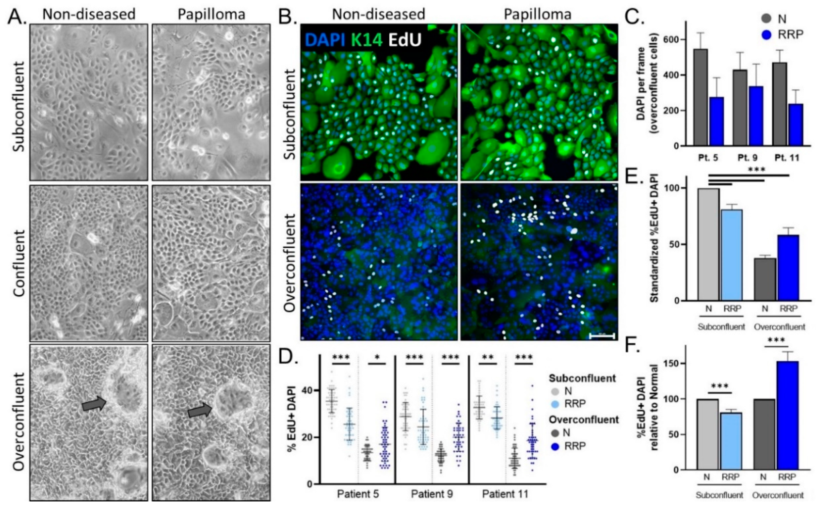 Viruses 13 00068 g002 Viruses 13 00068 g002