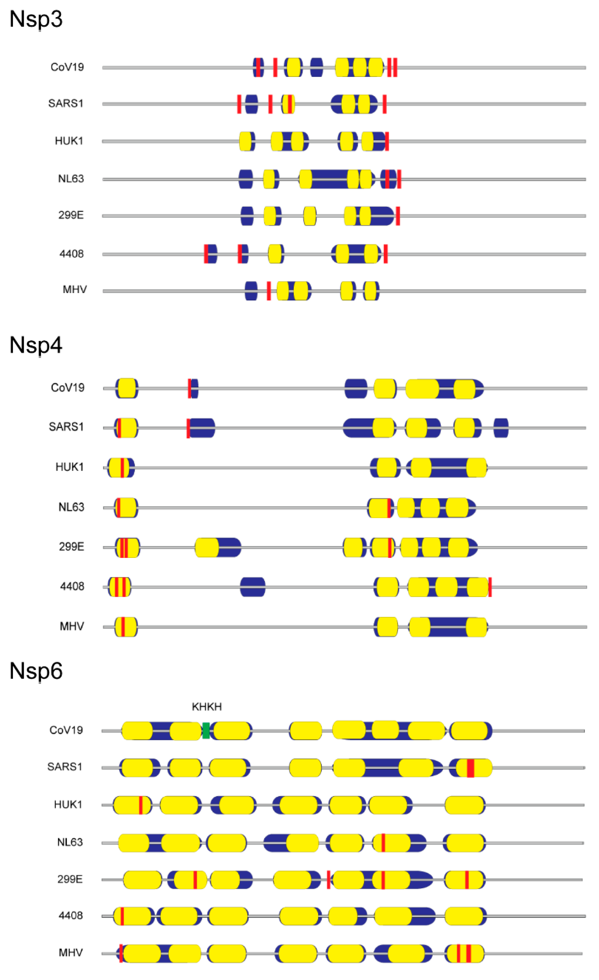 Viruses Free Full Text The Fatty Acid Lipid Metabolism Nexus In Covid 19 Html