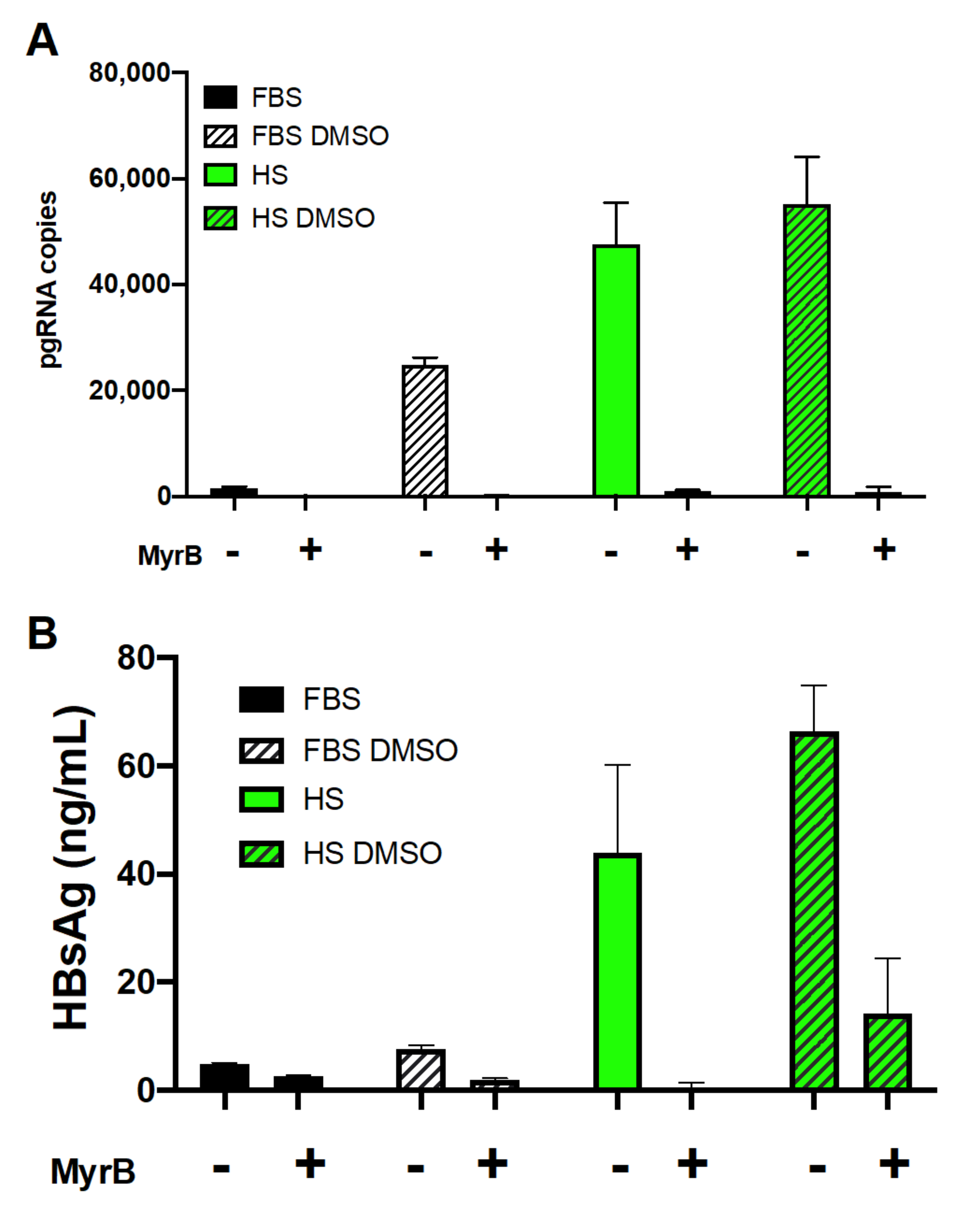 Viruses 13 00097 g005