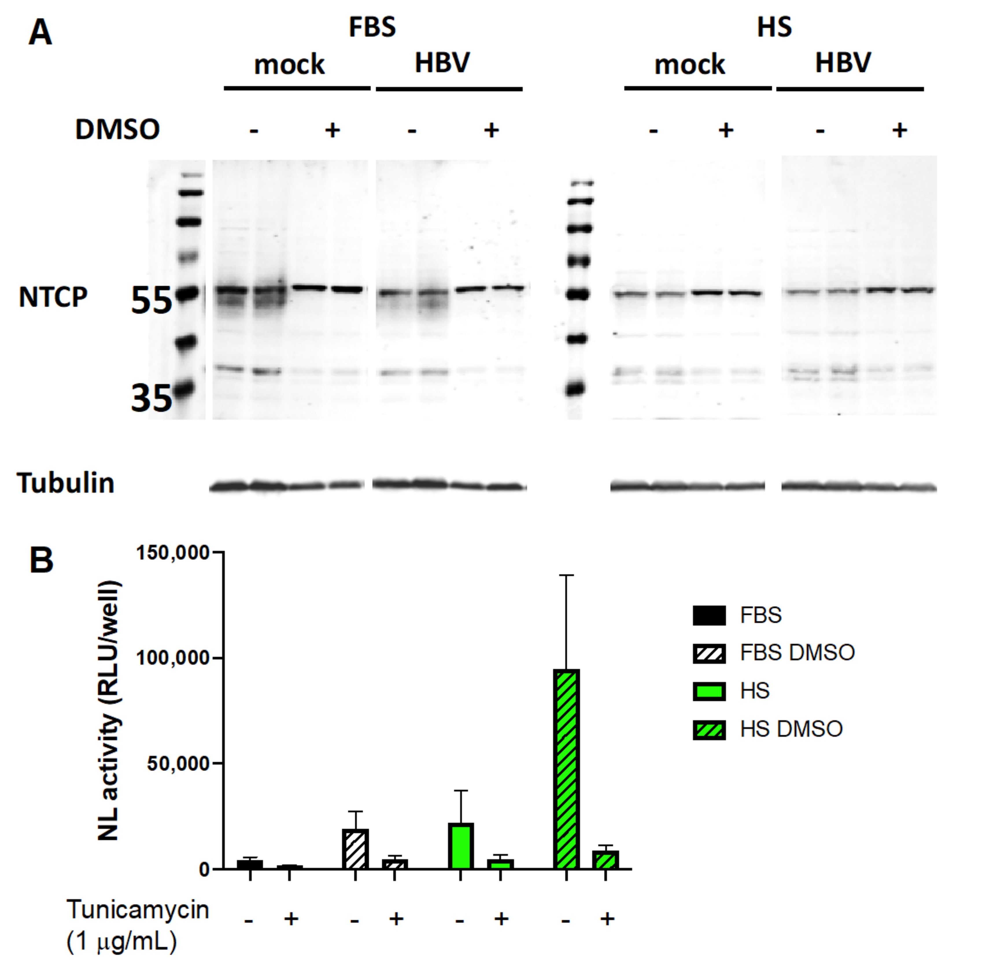 Viruses 13 00097 g007