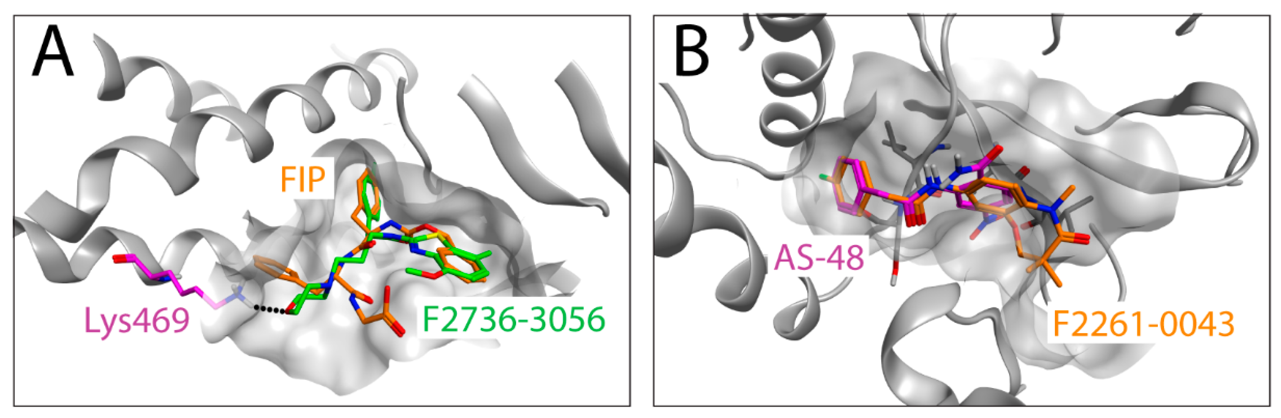 Viruses 13 00128 g005 Viruses 13 00128 g005