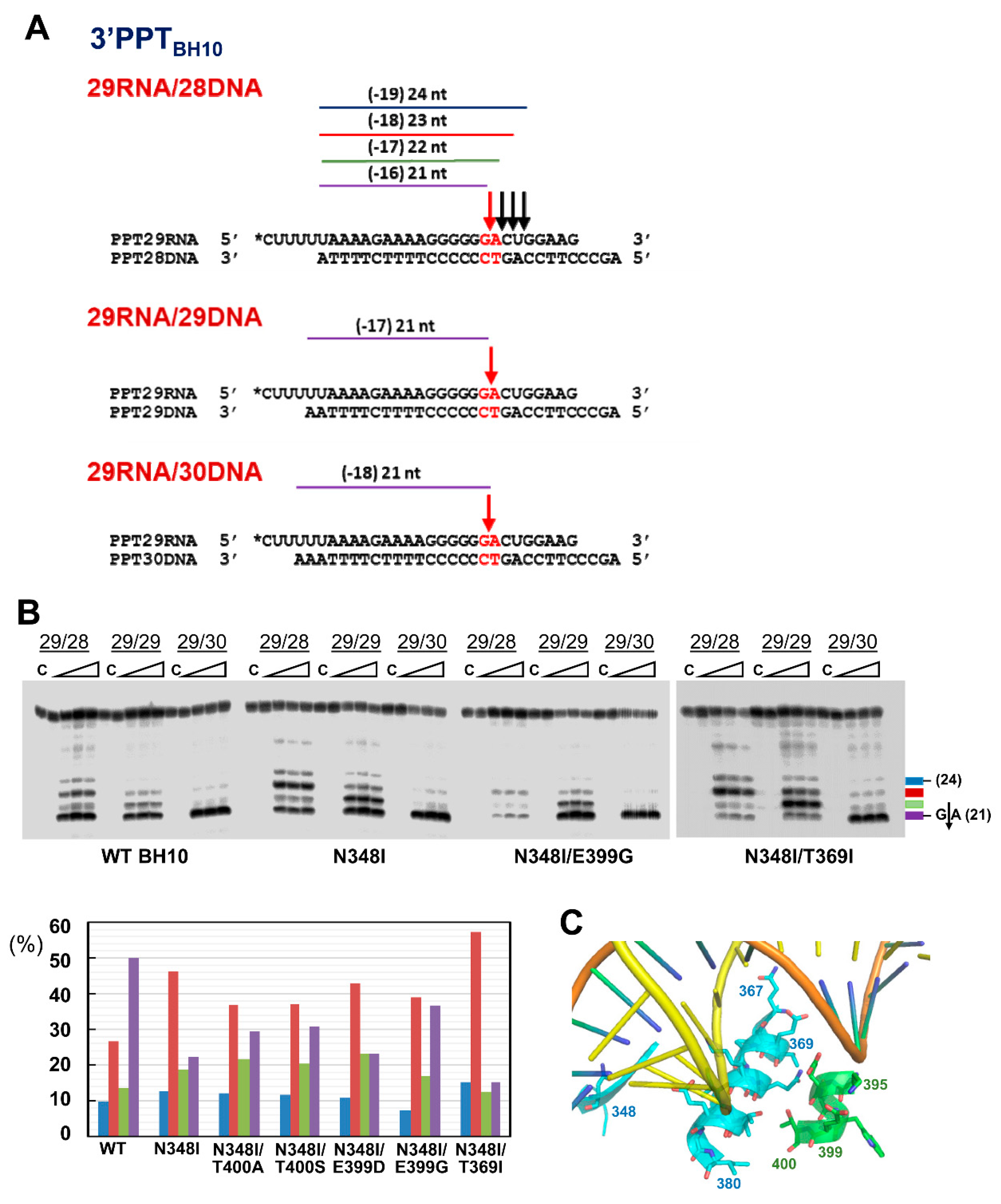 Viruses 13 00131 g004