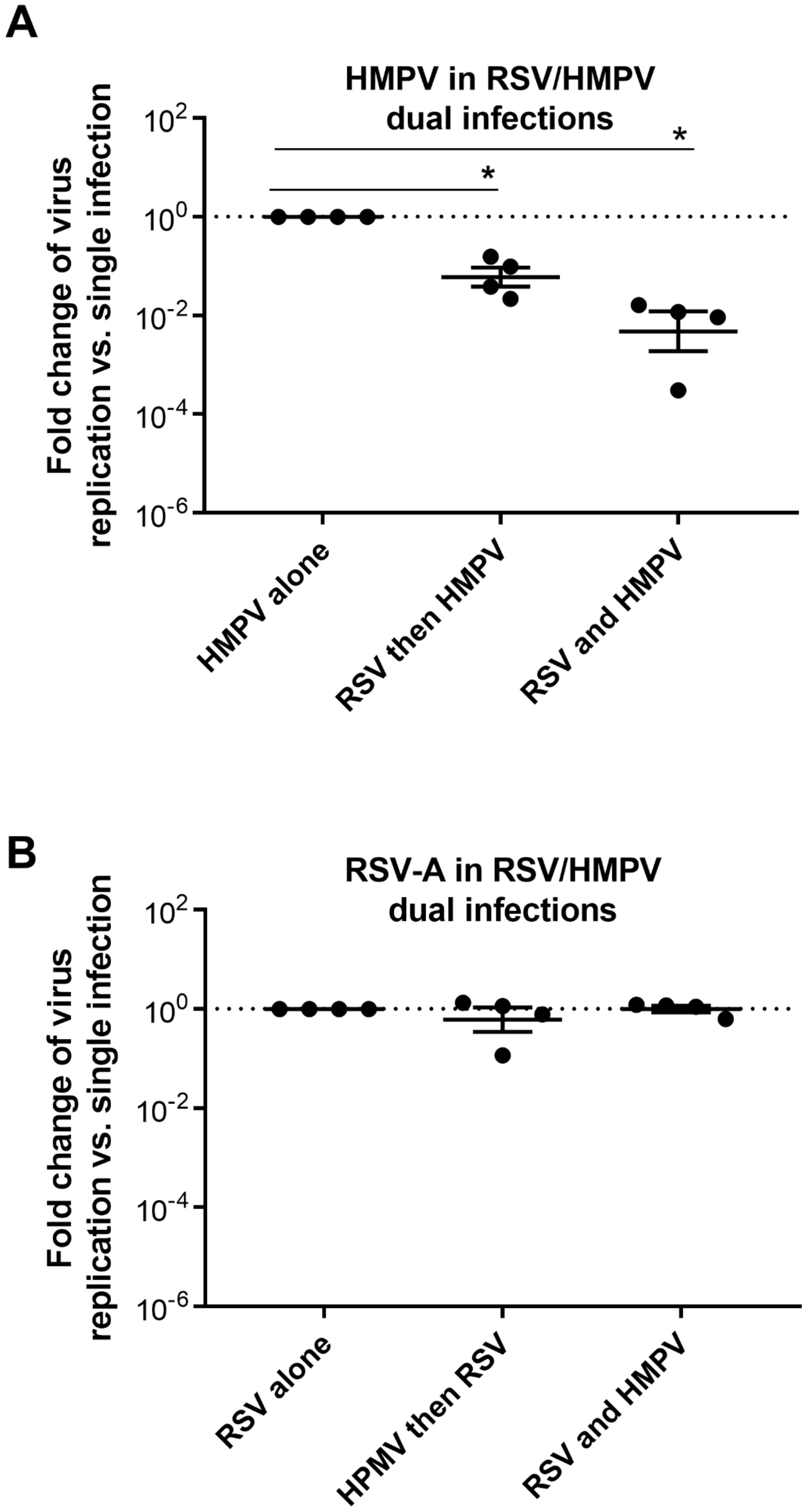 Viruses Free Full Text Rsv And Hmpv Infections In 3d Tissue Cultures Mechanisms Involved In Virus Host And Virus Virus Interactions Html