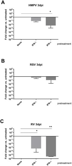 Viruses Free Full Text Rsv And Hmpv Infections In 3d Tissue Cultures Mechanisms Involved In Virus Host And Virus Virus Interactions Html