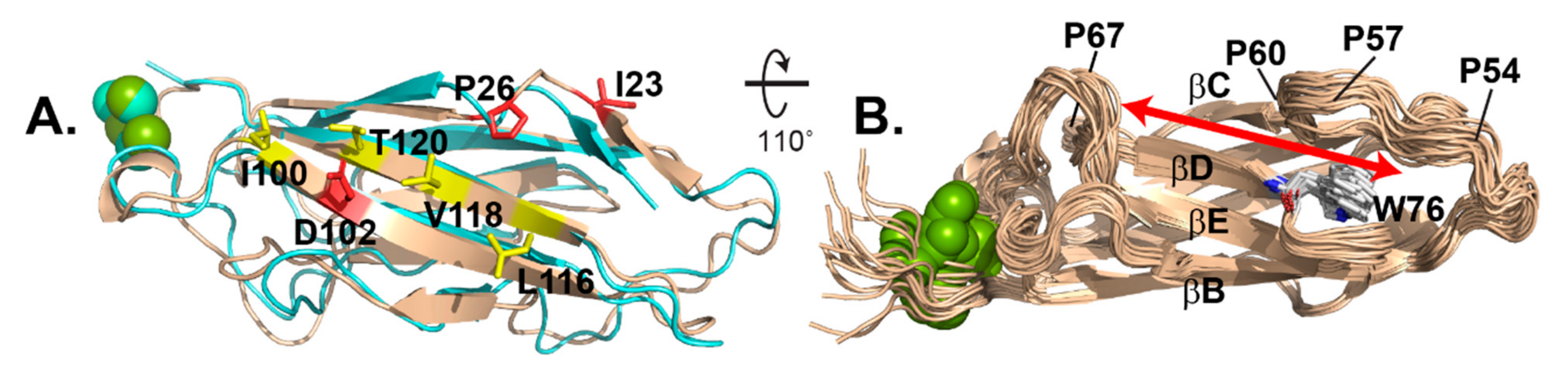 Viruses 13 00159 g005 Viruses 13 00159 g005