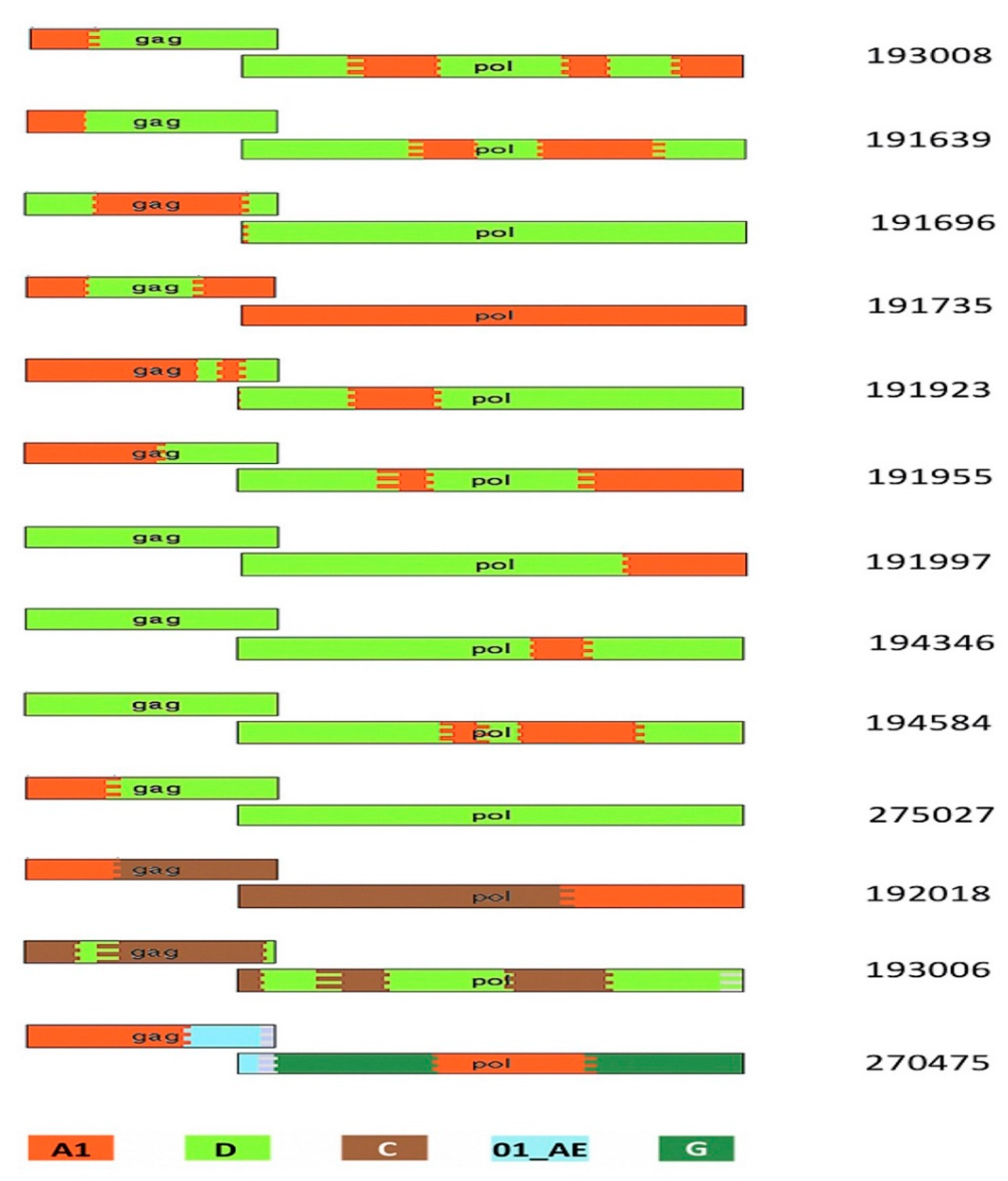 Phylogenetic Approach Reveals That Virus Genotype Largely Determines HIV  Set-Point Viral Load