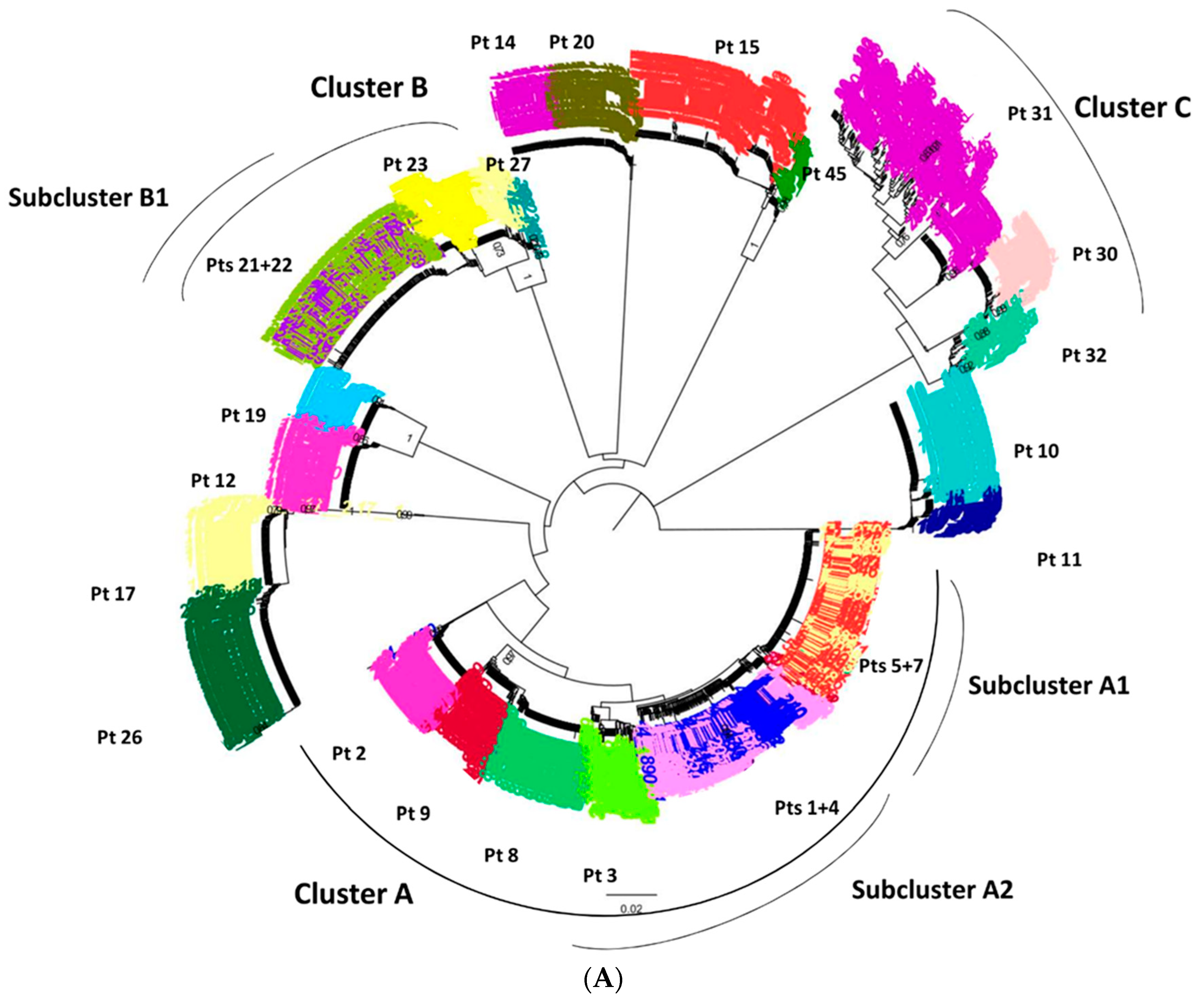Viruses 13 00176 g002a