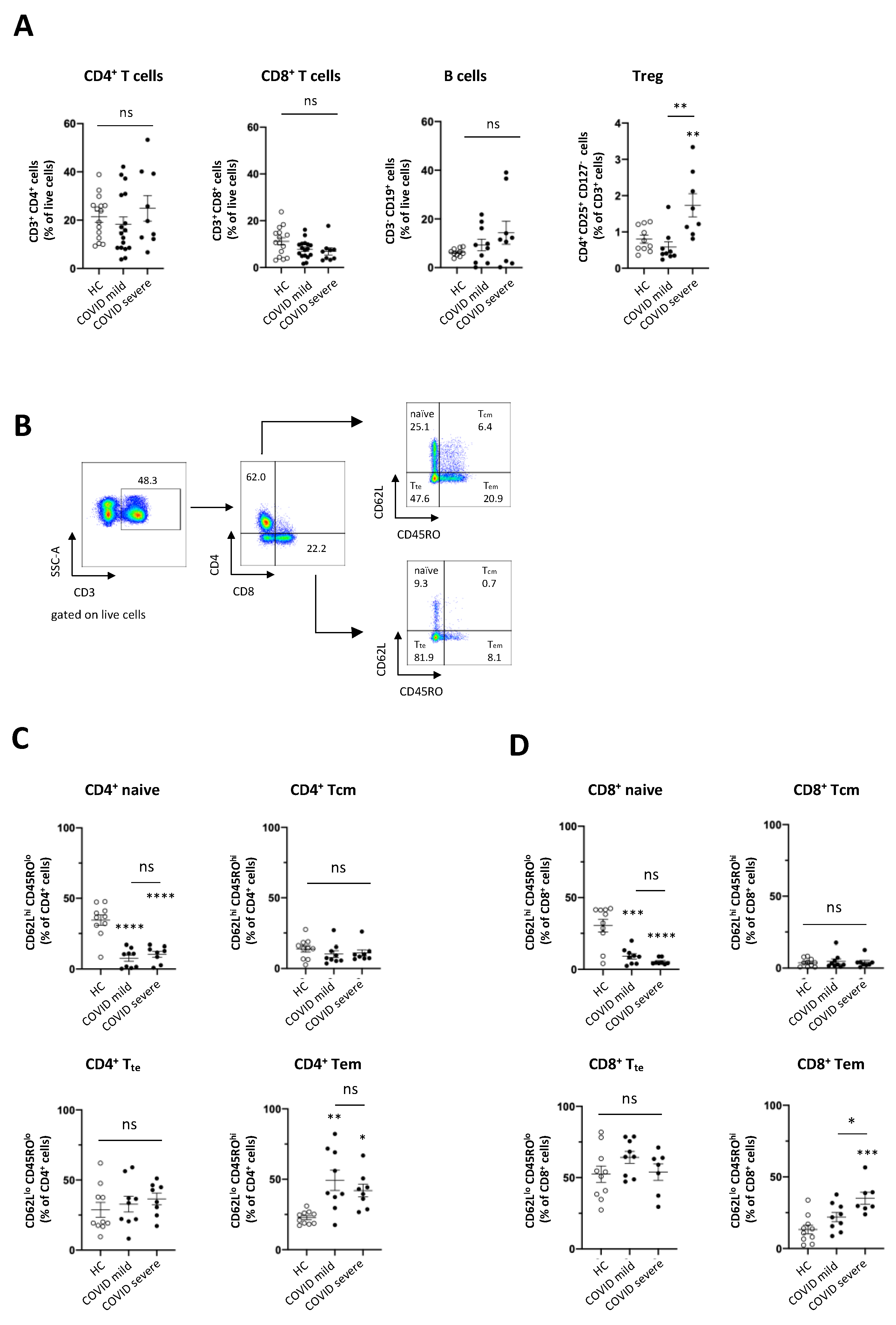 Viruses 13 00241 g001