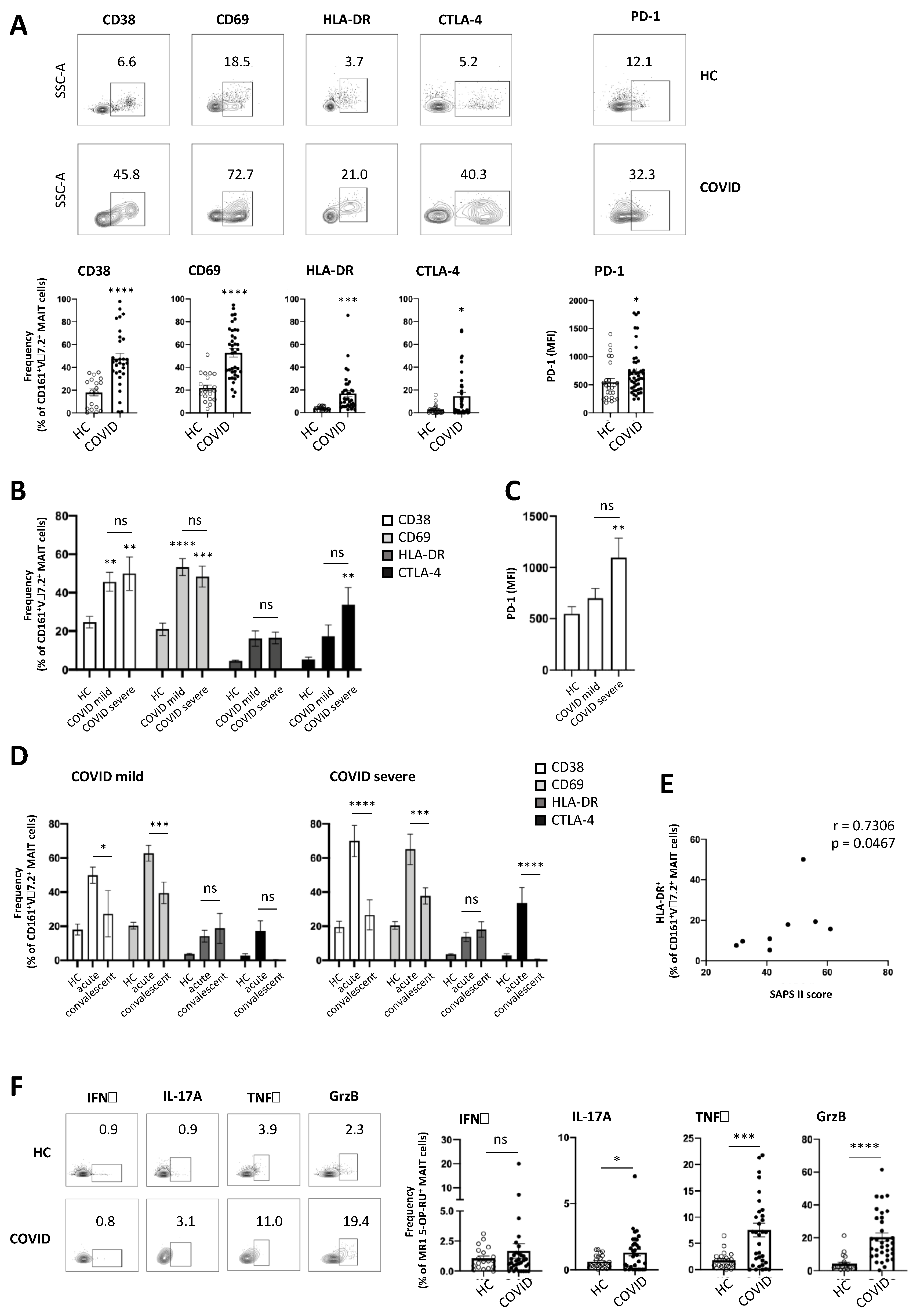 Viruses 13 00241 g003
