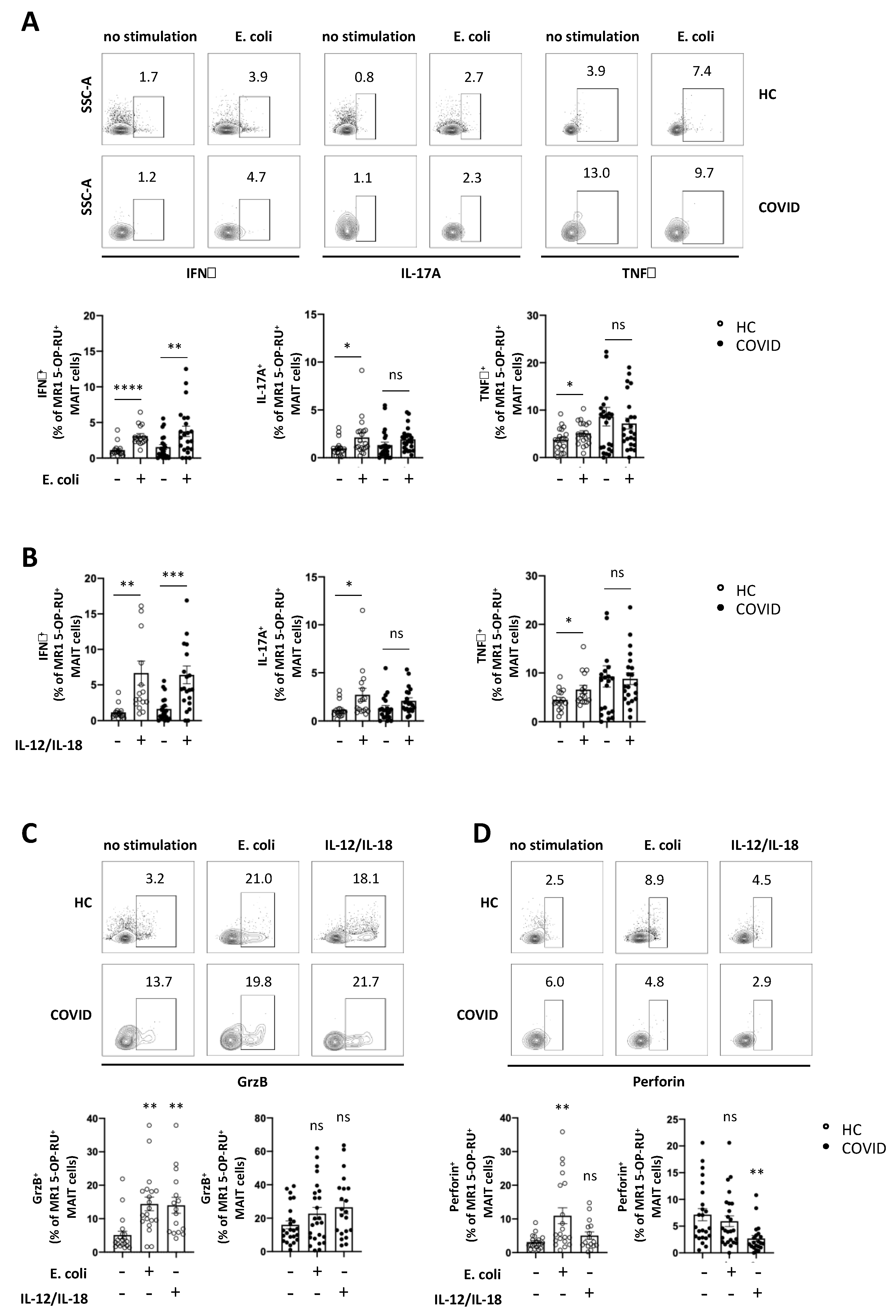 Viruses 13 00241 g004