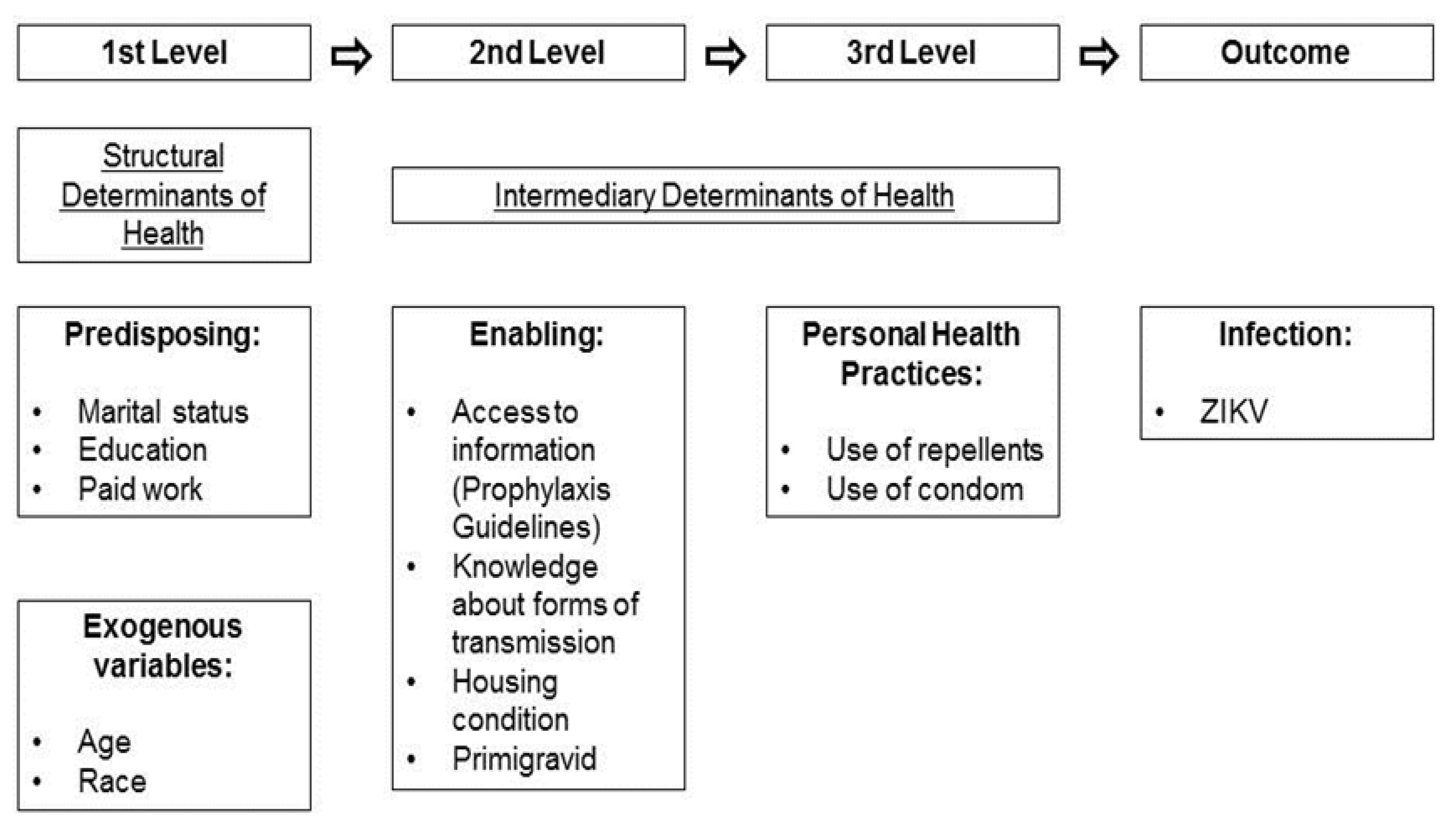 Viruses 13 00242 g001 Viruses 13 00242 g001