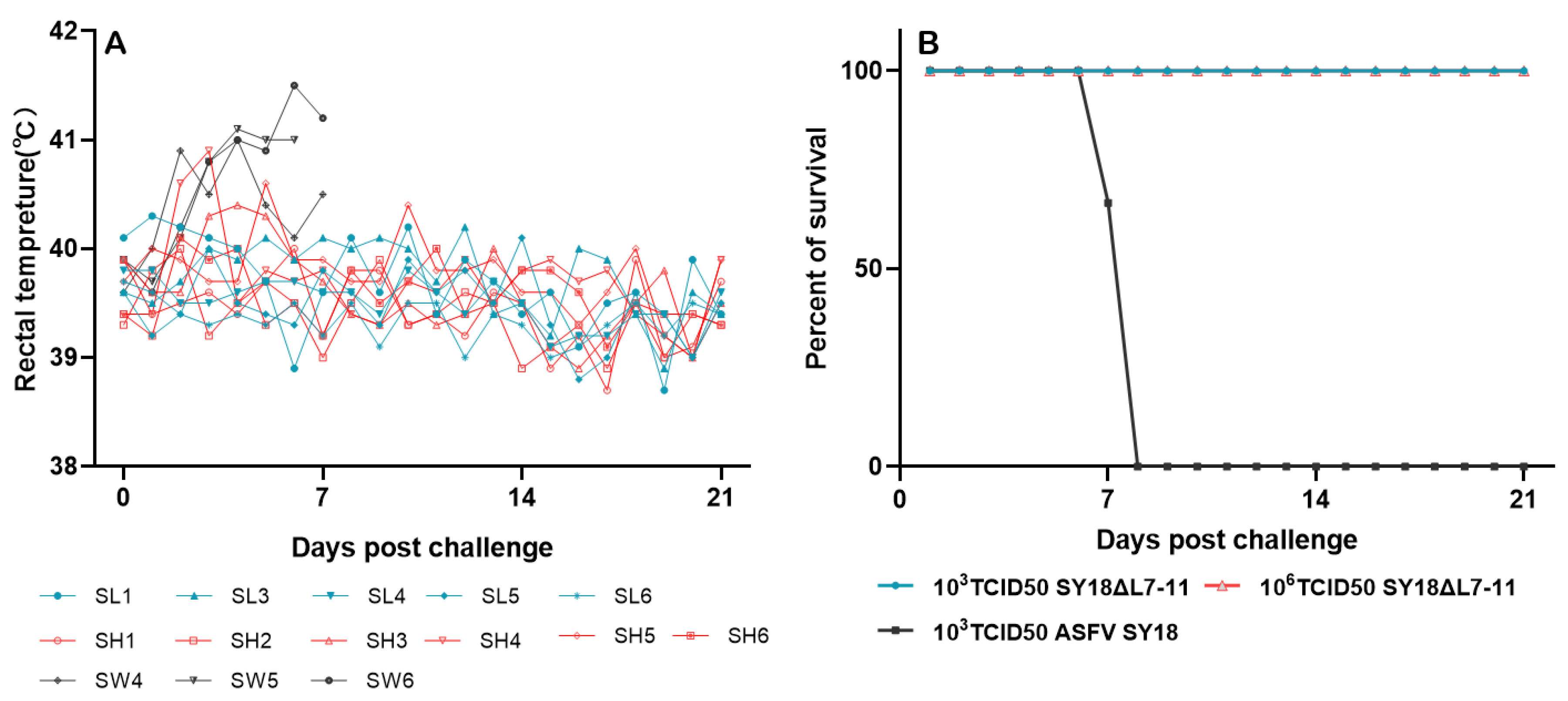 Viruses 13 00255 g004