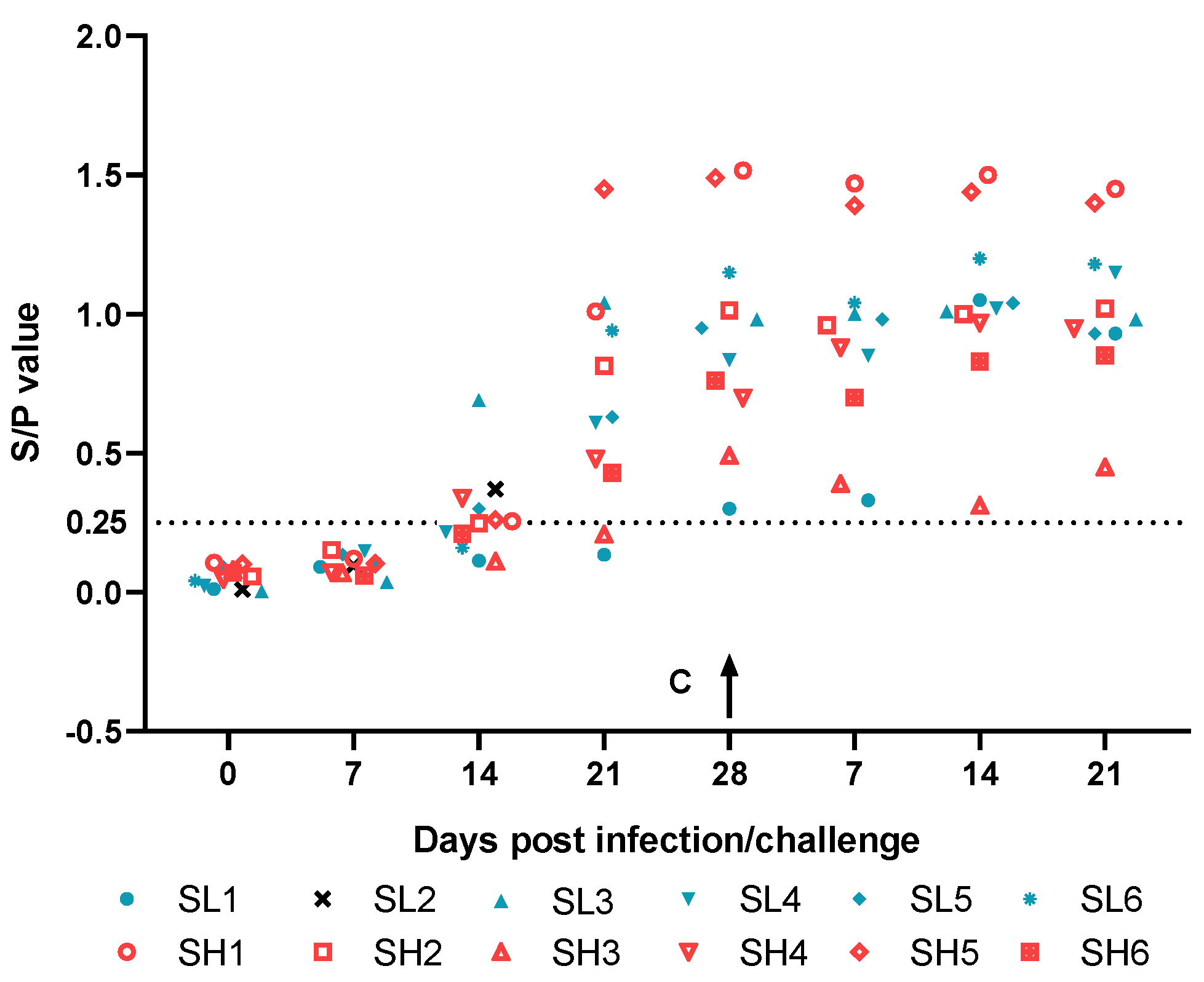 Viruses 13 00255 g005