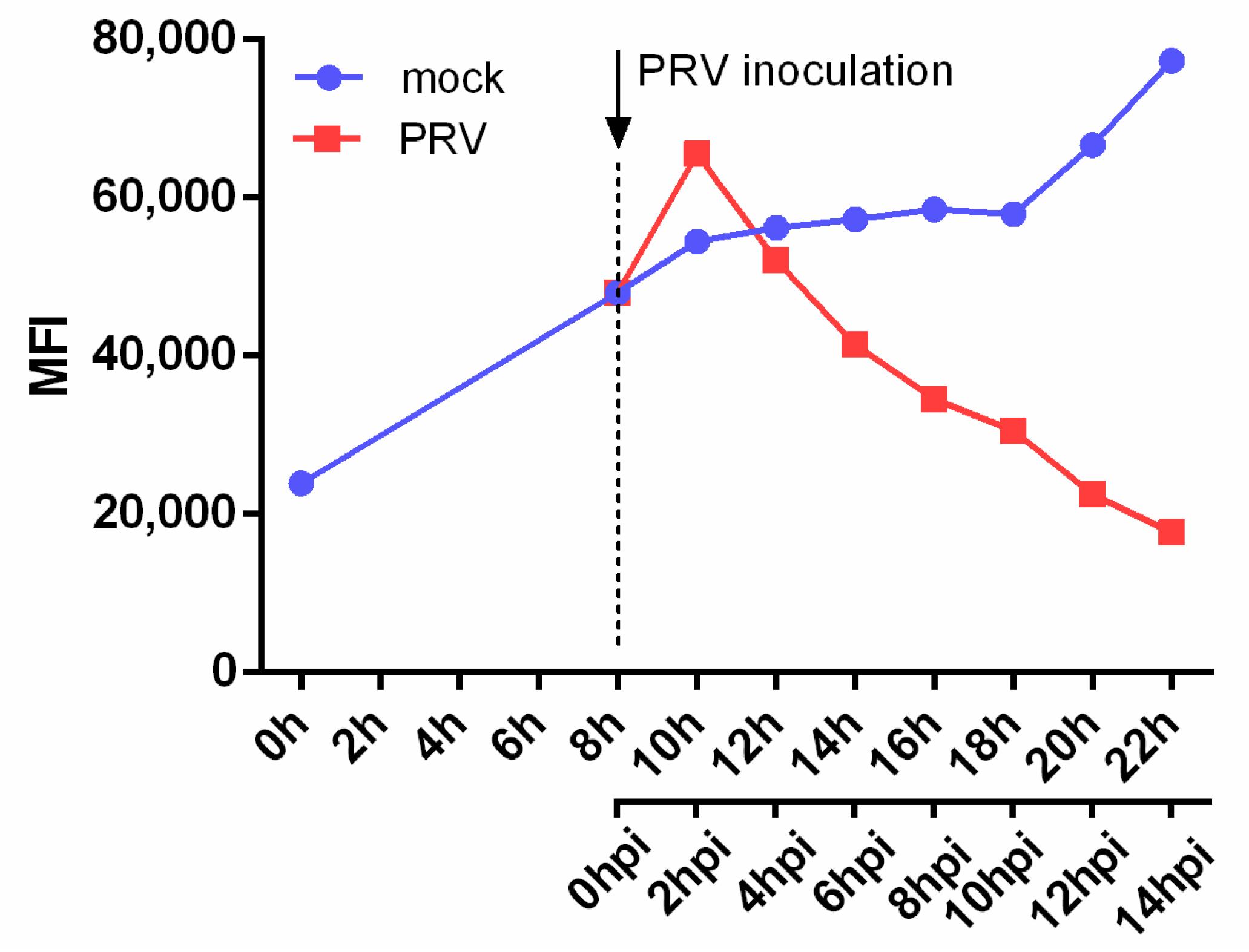 Viruses 13 00266 g002