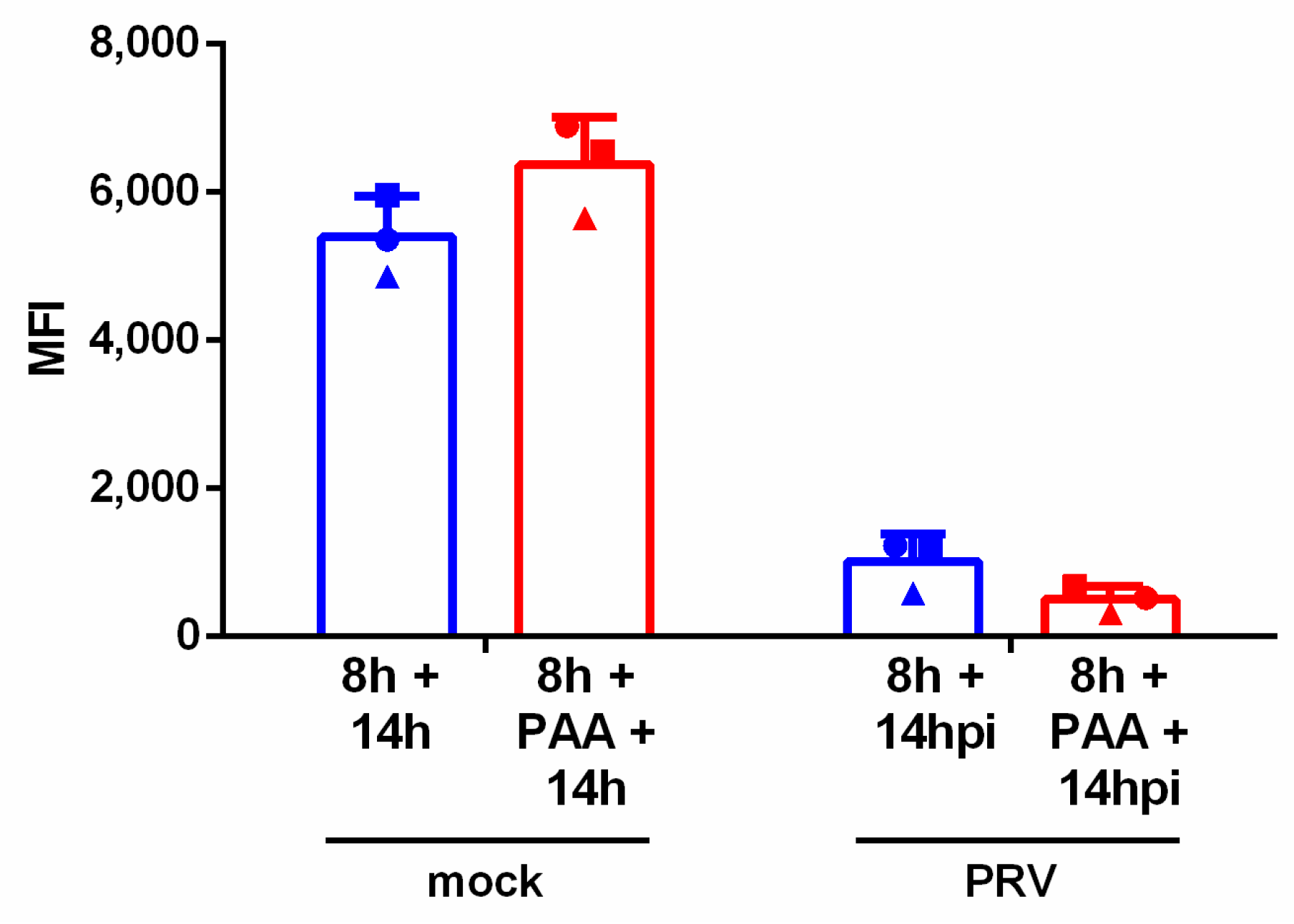 Viruses 13 00266 g003