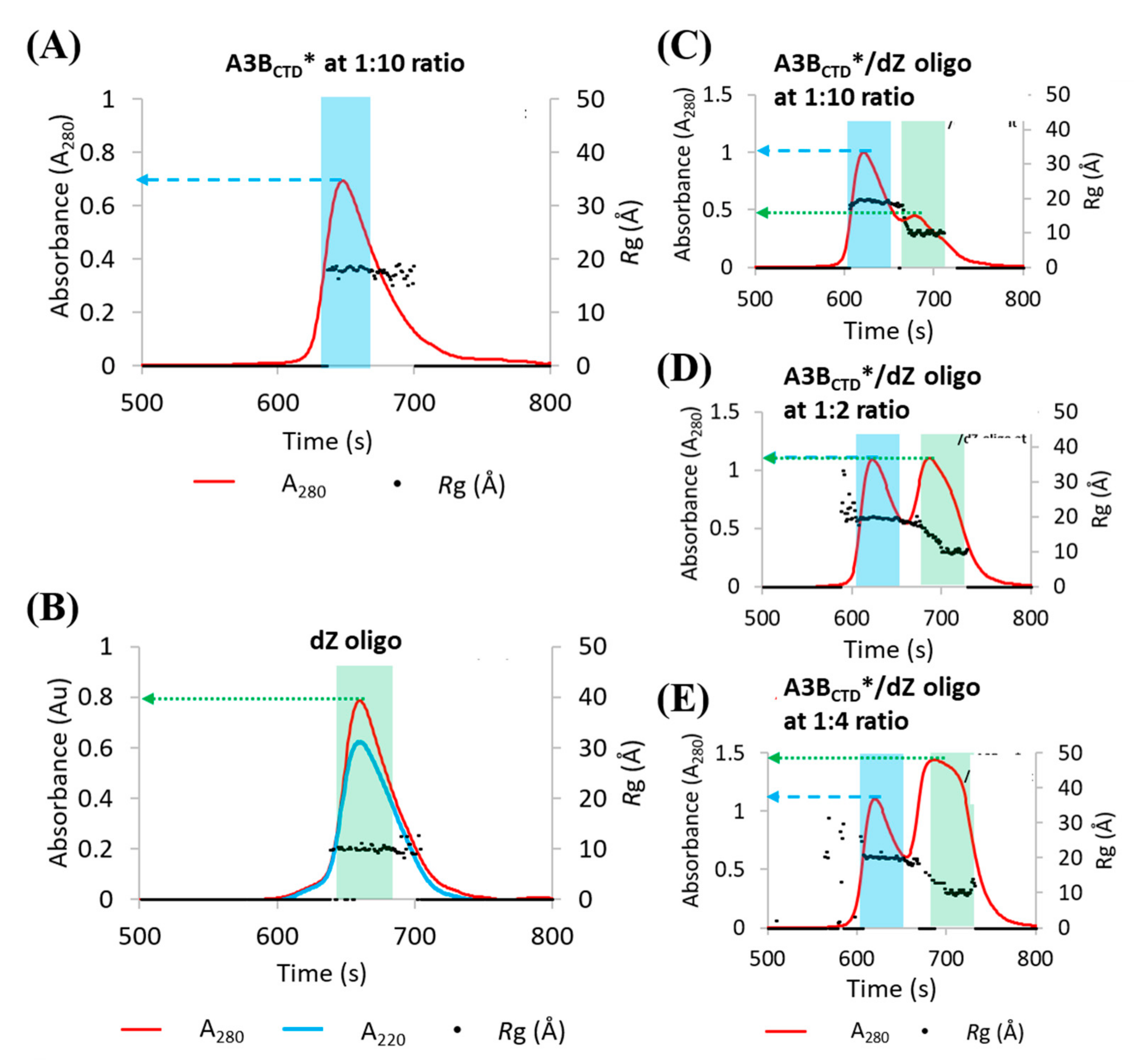 Viruses Free Full Text Small Angle X Ray Scattering Models Of Apobec3b Catalytic Domain In A Complex With A Single Stranded Dna Inhibitor Html