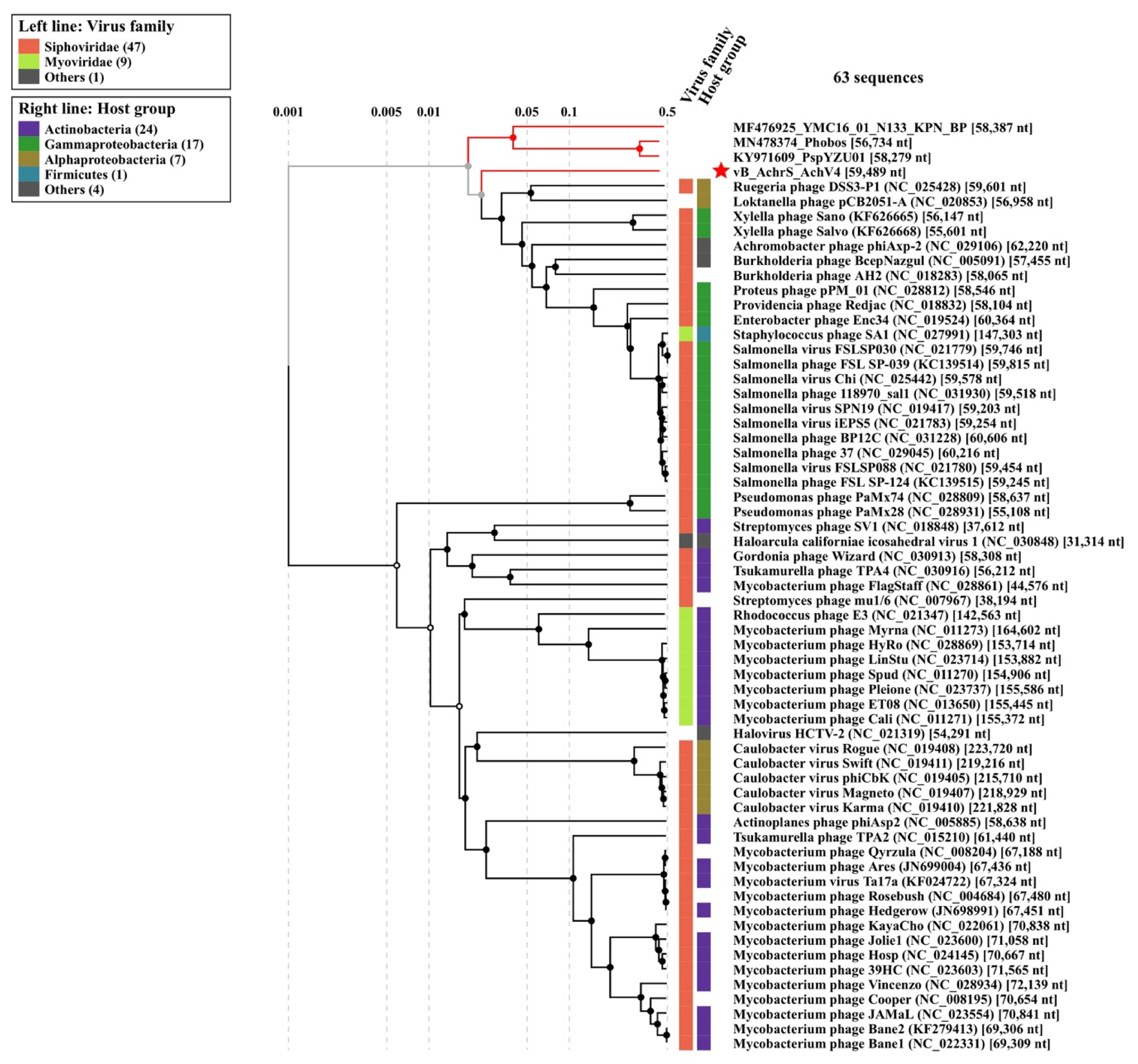 Viruses 13 00374 g005