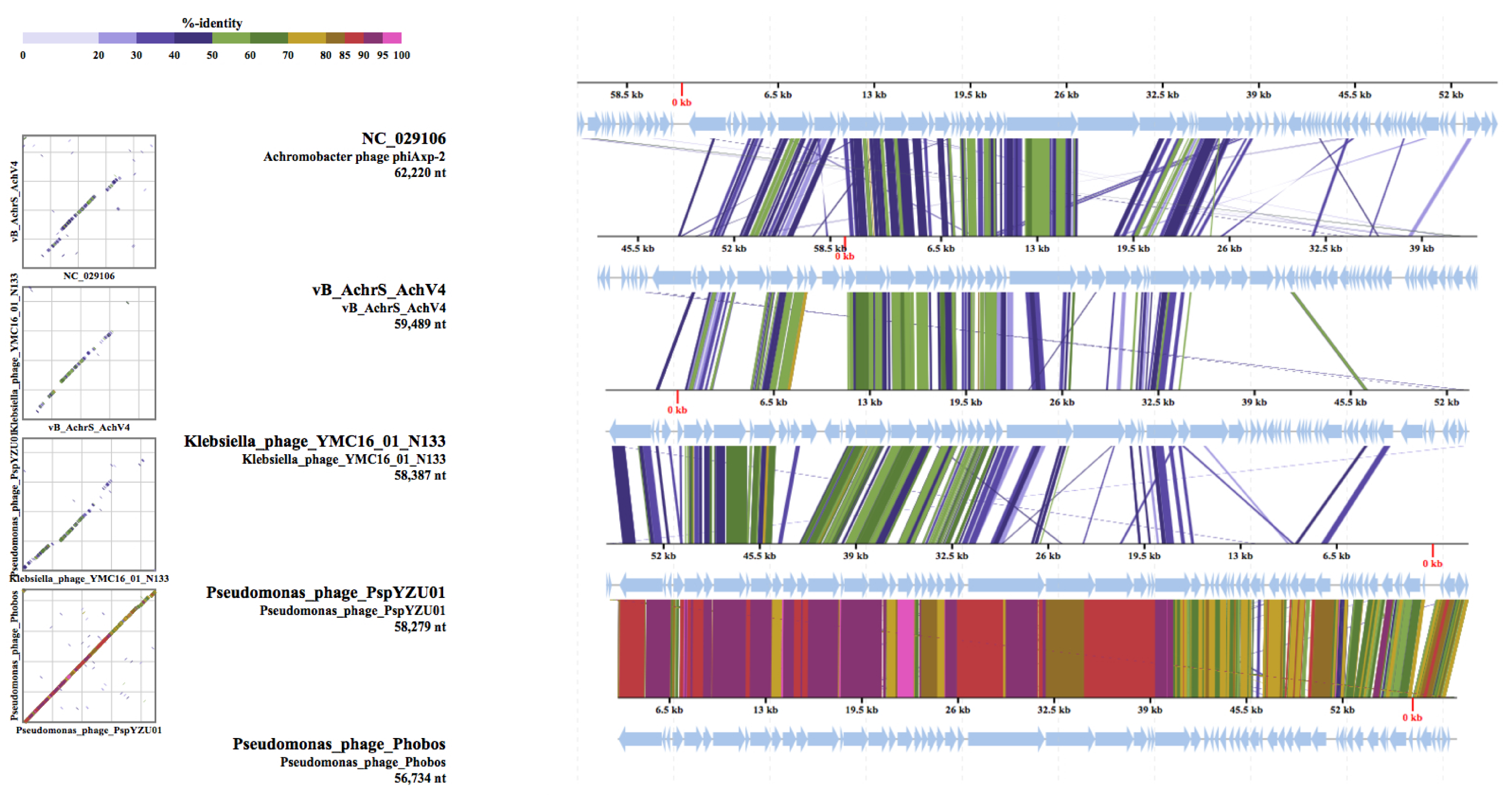 Viruses 13 00374 g006