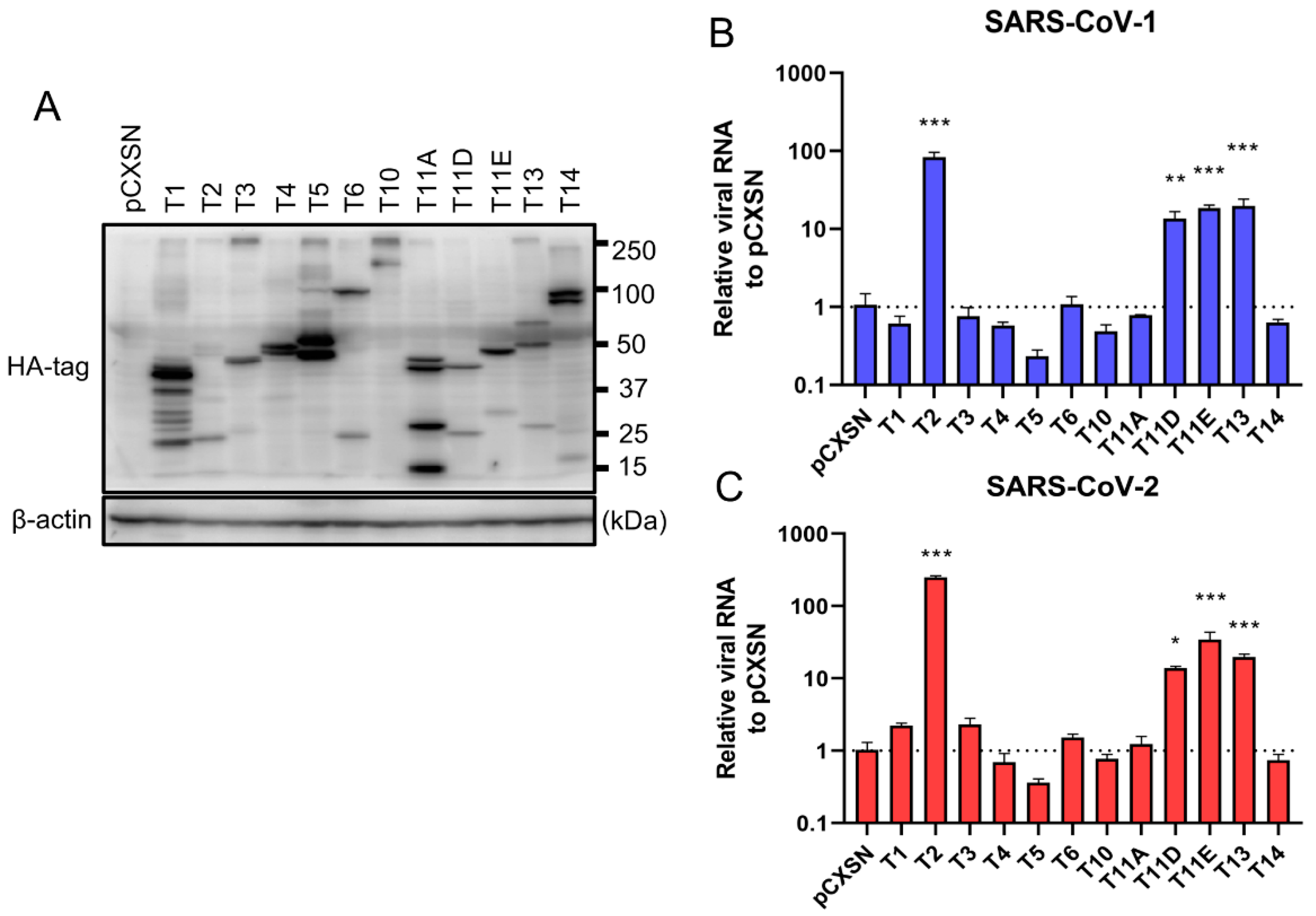 Viruses 13 00384 g001