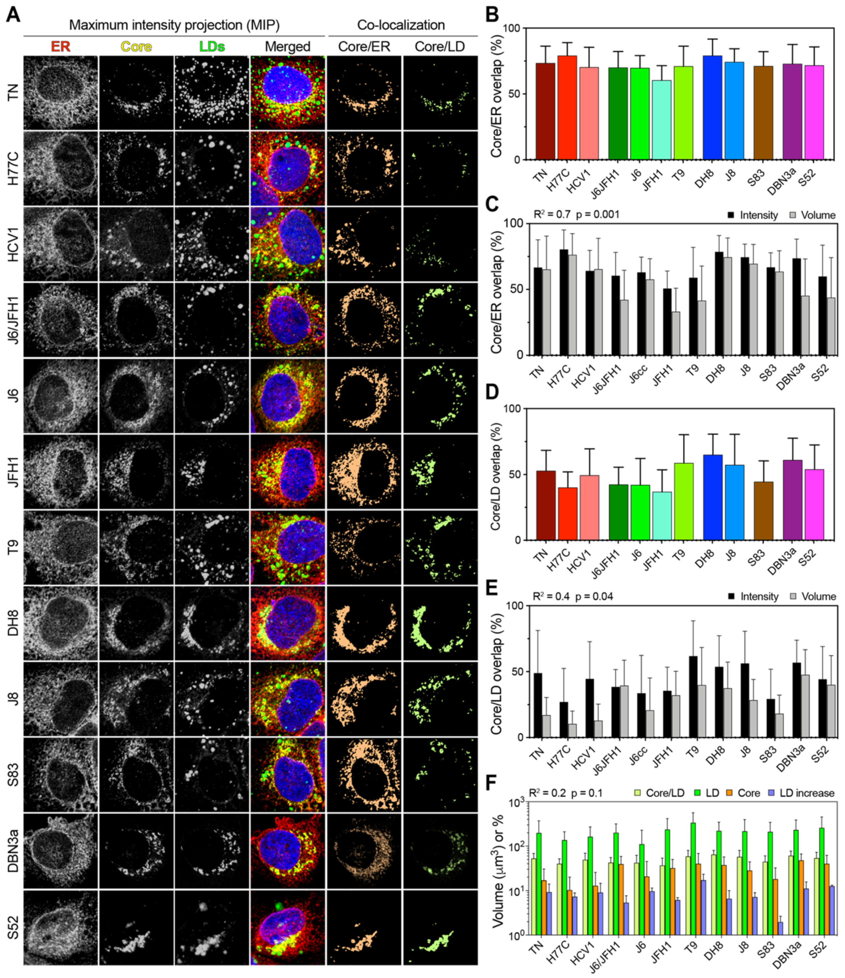 Viruses 13 00389 g006 Viruses 13 00389 g006