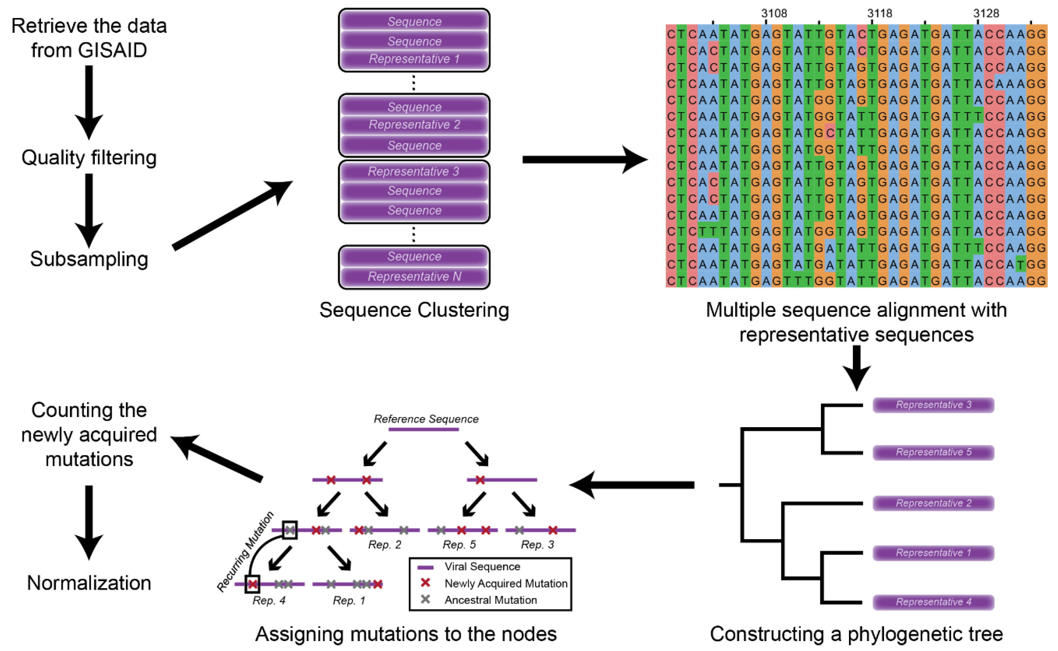 Viruses 13 00394 g001