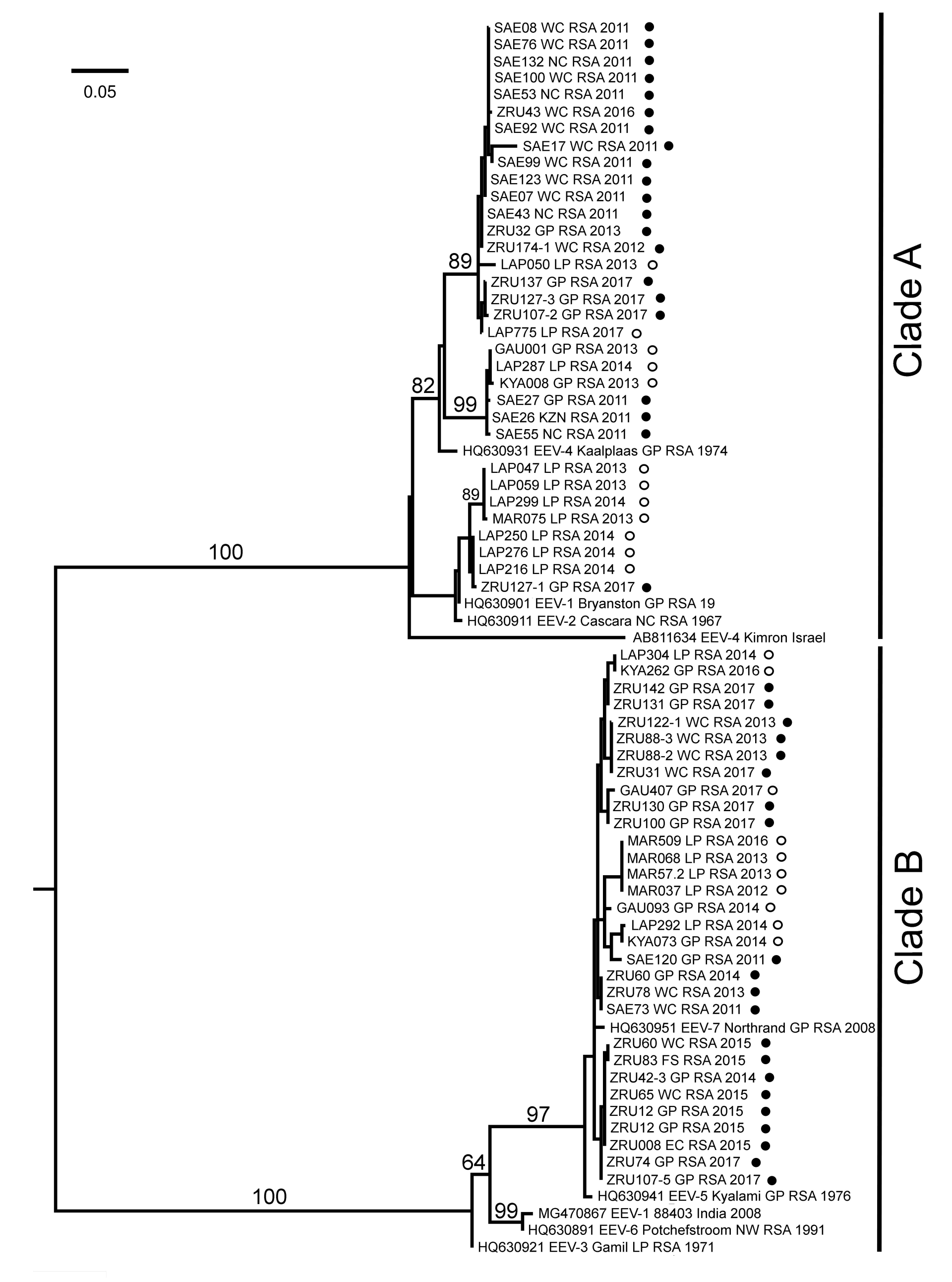 Viruses 13 00398 g004 Viruses 13 00398 g004