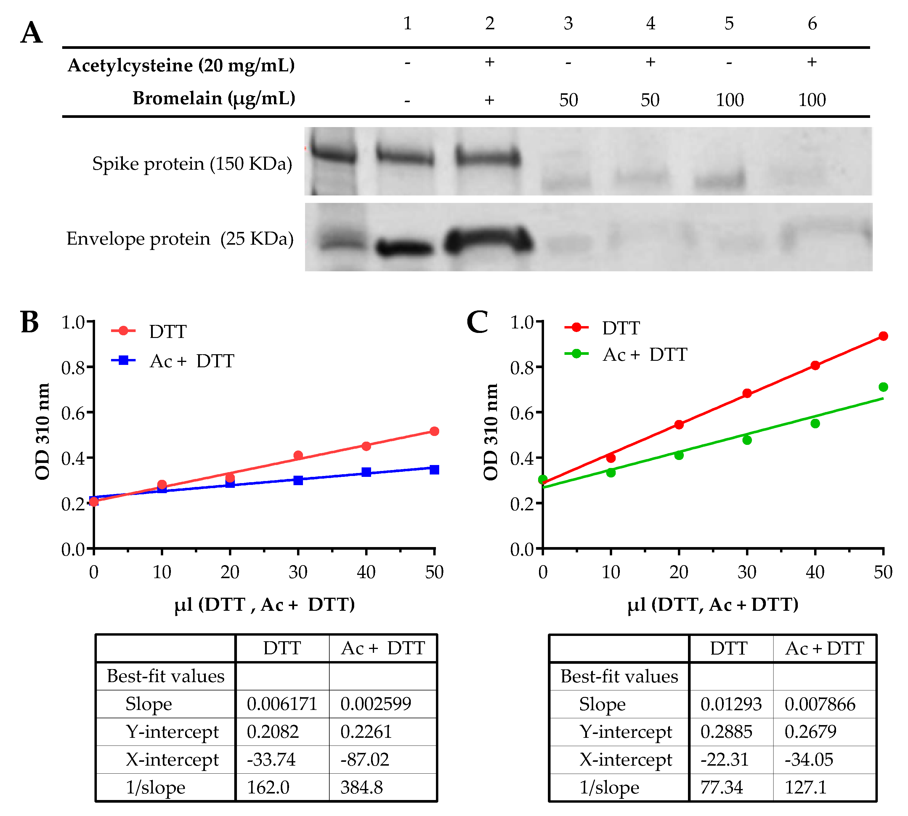 Viruses 13 00425 g001 Viruses 13 00425 g001