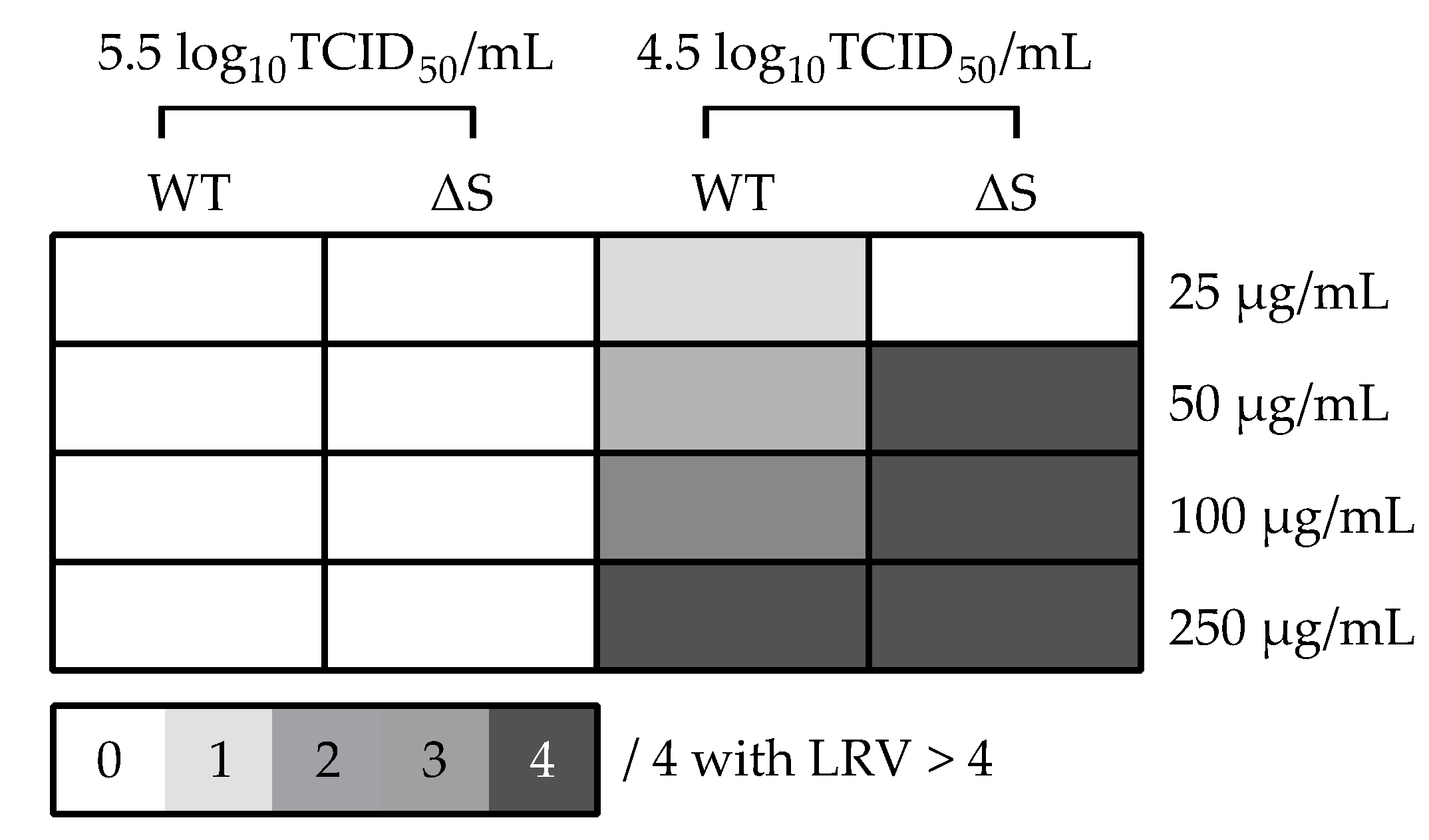 Viruses 13 00425 g003 Viruses 13 00425 g003