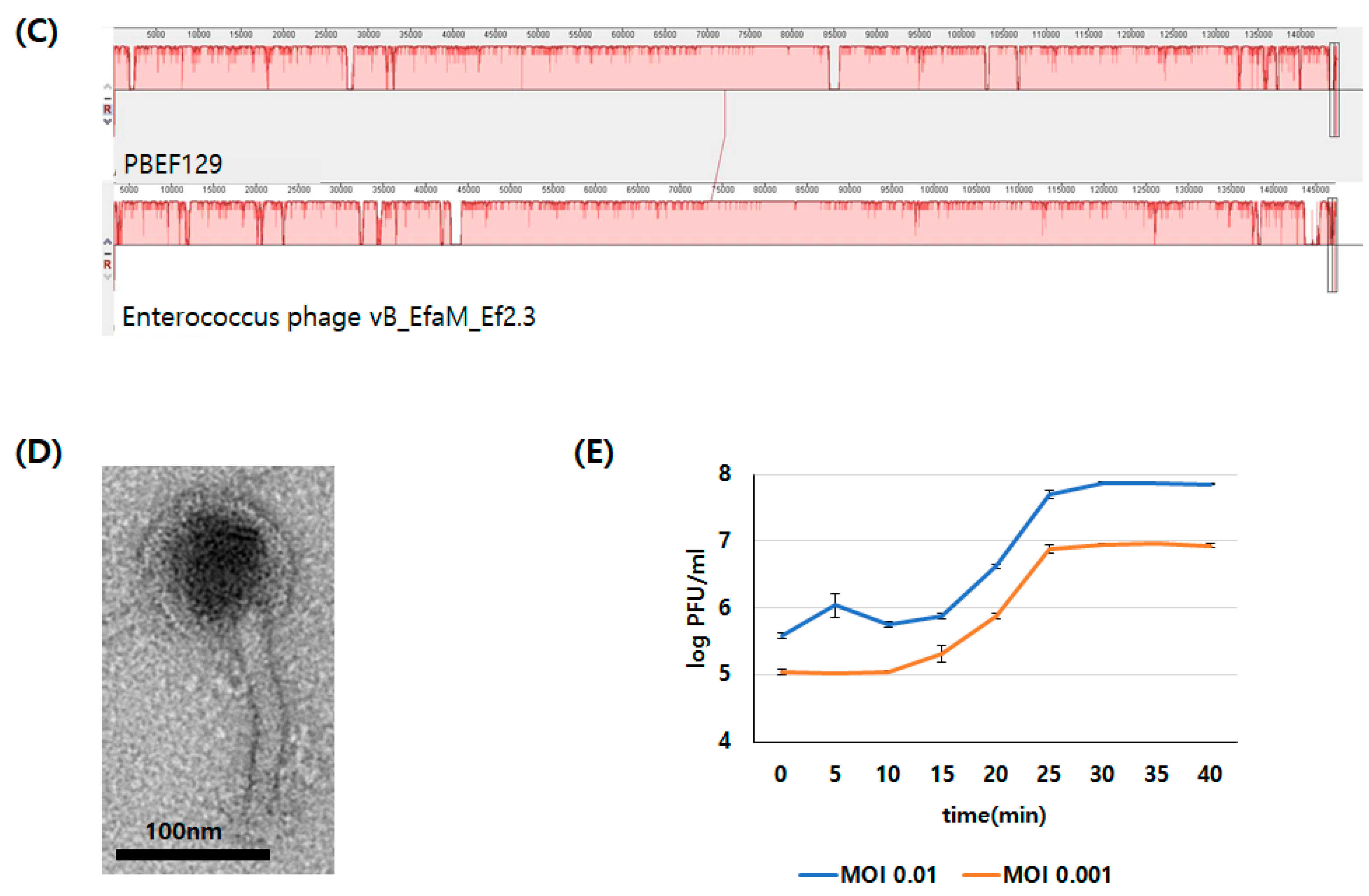 Viruses 13 00426 g001b