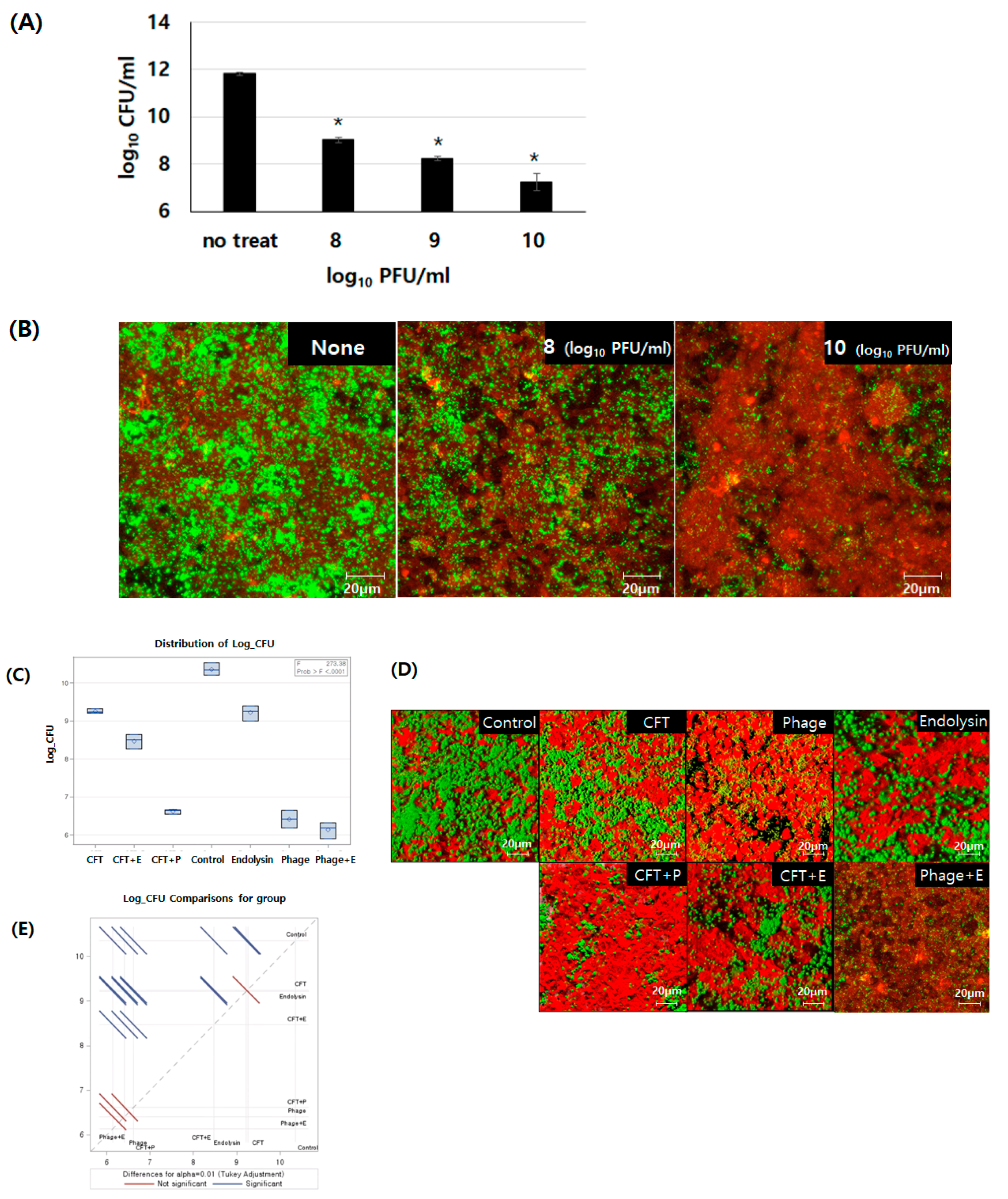 Viruses 13 00426 g004