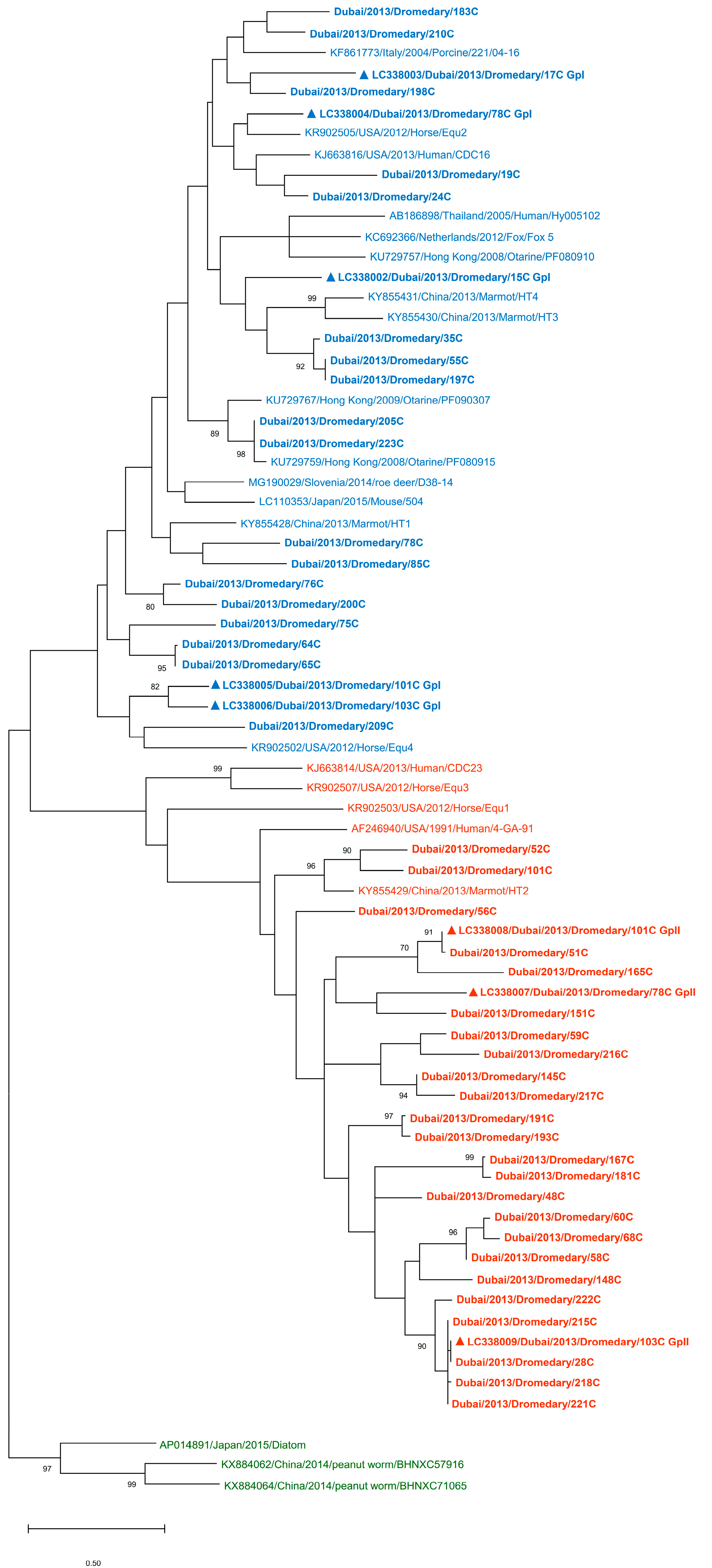 Viruses 13 00430 g001