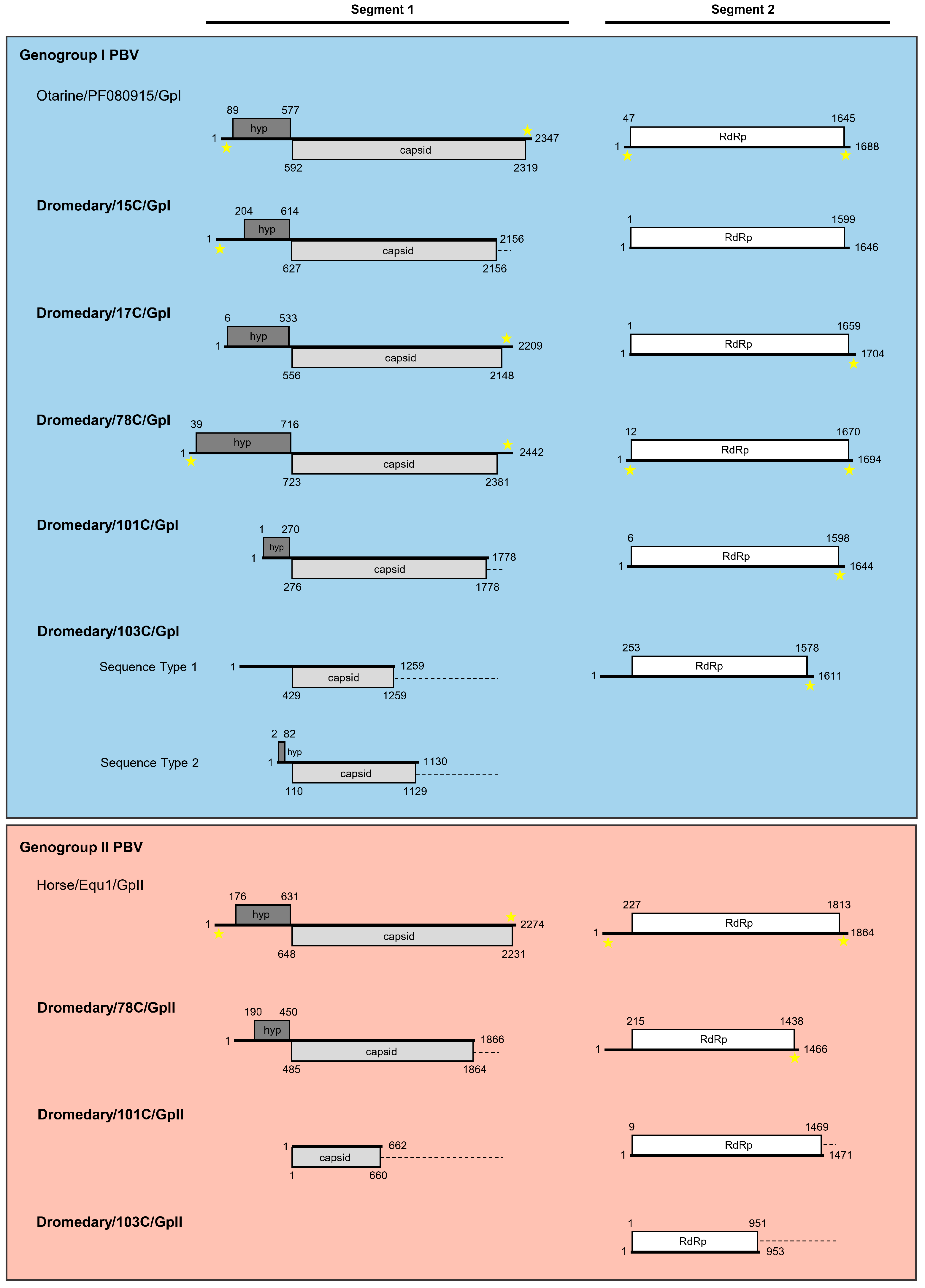 Viruses 13 00430 g002