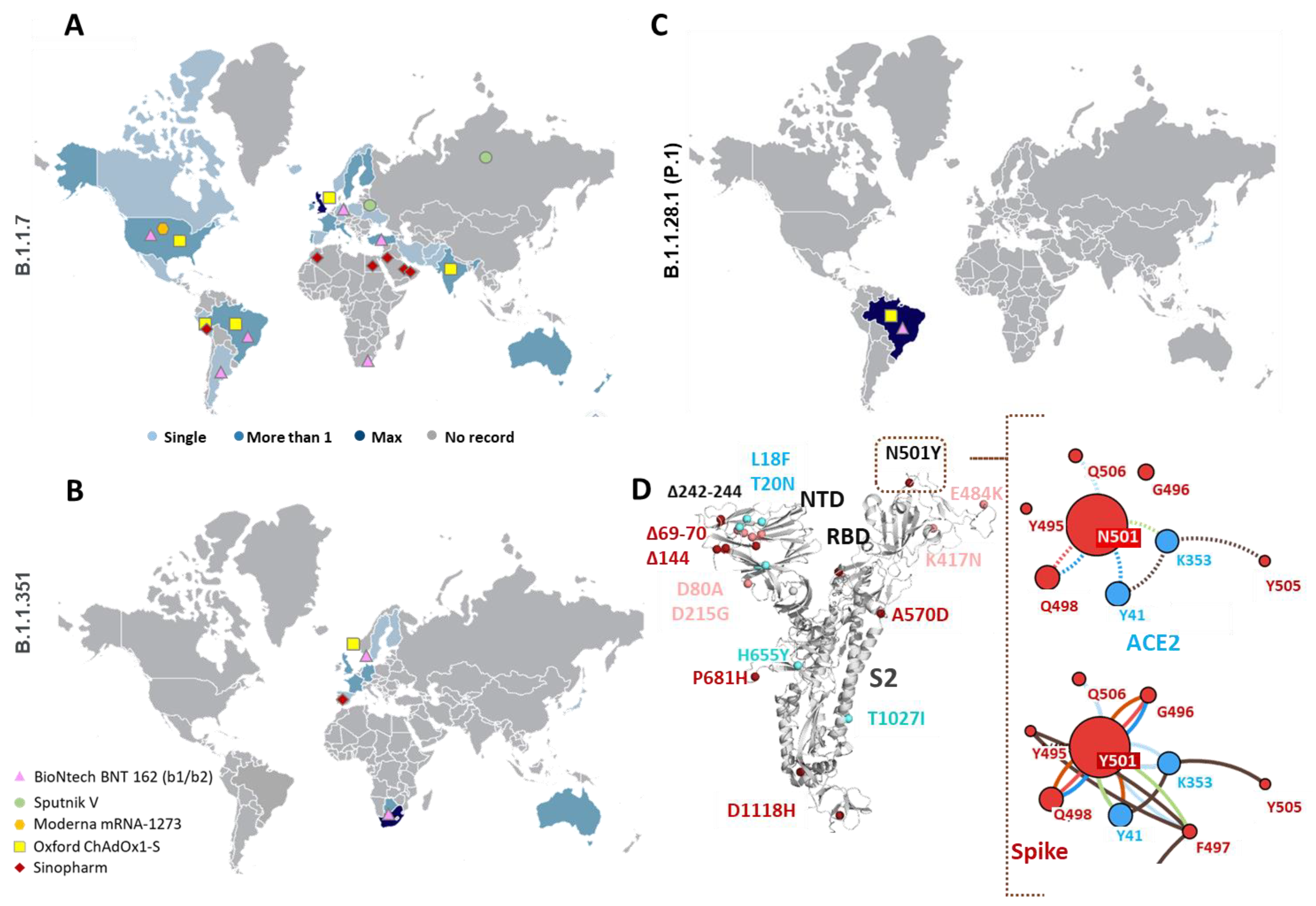 Viruses | Free Full-Text | Structure-Function Analyses of New SARS