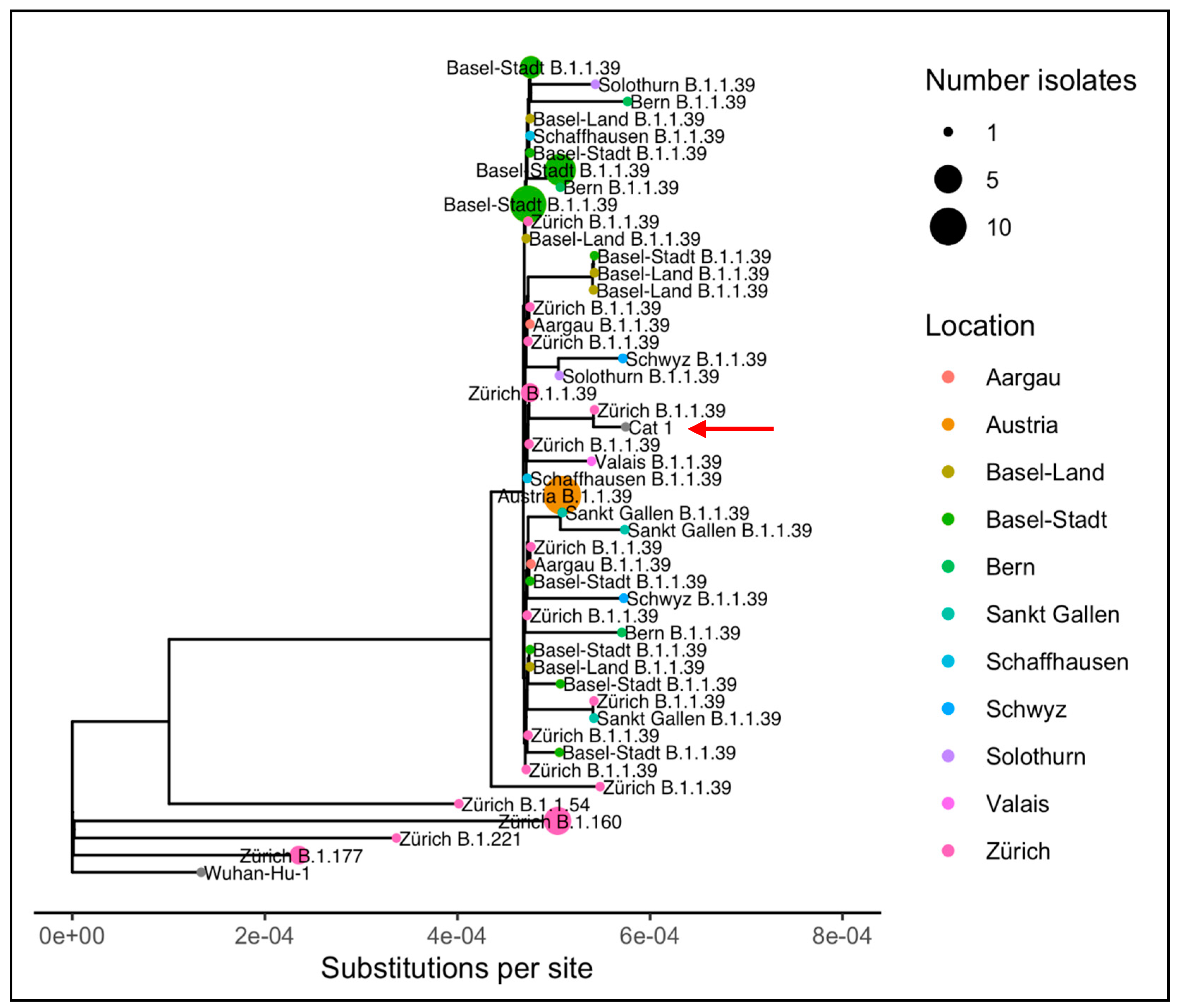 Viruses | Free Full-Text | Detection and Genome Sequencing of SARS-CoV-2 in  a Domestic Cat with Respiratory Signs in Switzerland | HTML