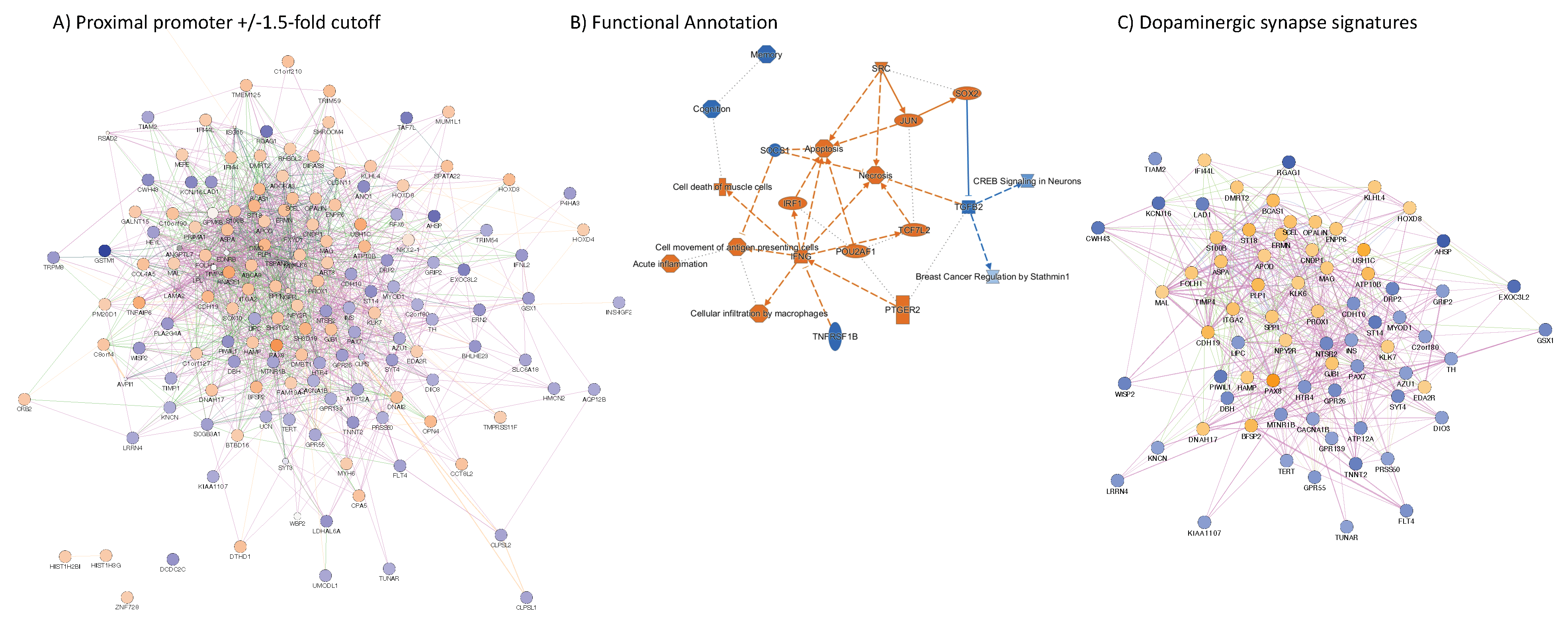 Viruses 13 00544 g009