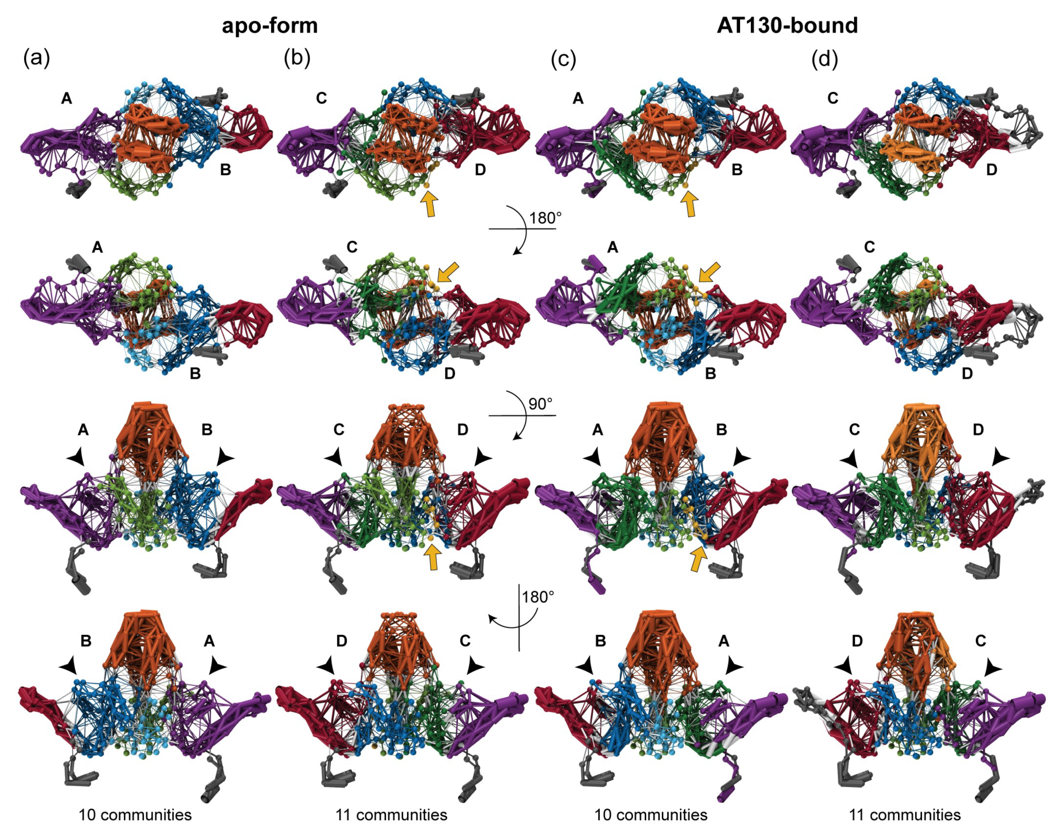 Viruses 13 00564 g004