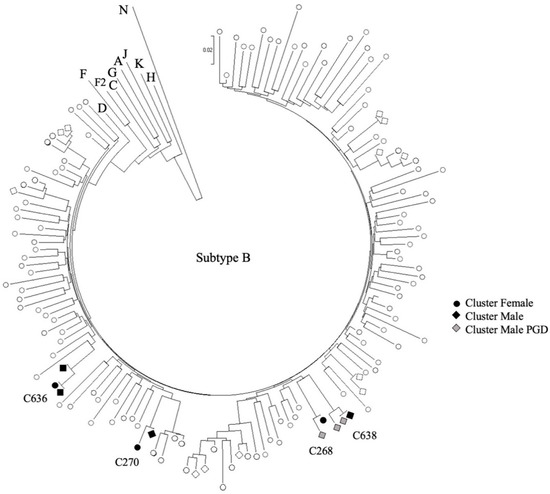 Viruses Free Full Text Phylogenetic Clustering Among Asylum Seekers With New Hiv 1 Diagnoses In Montreal Qc Canada Html