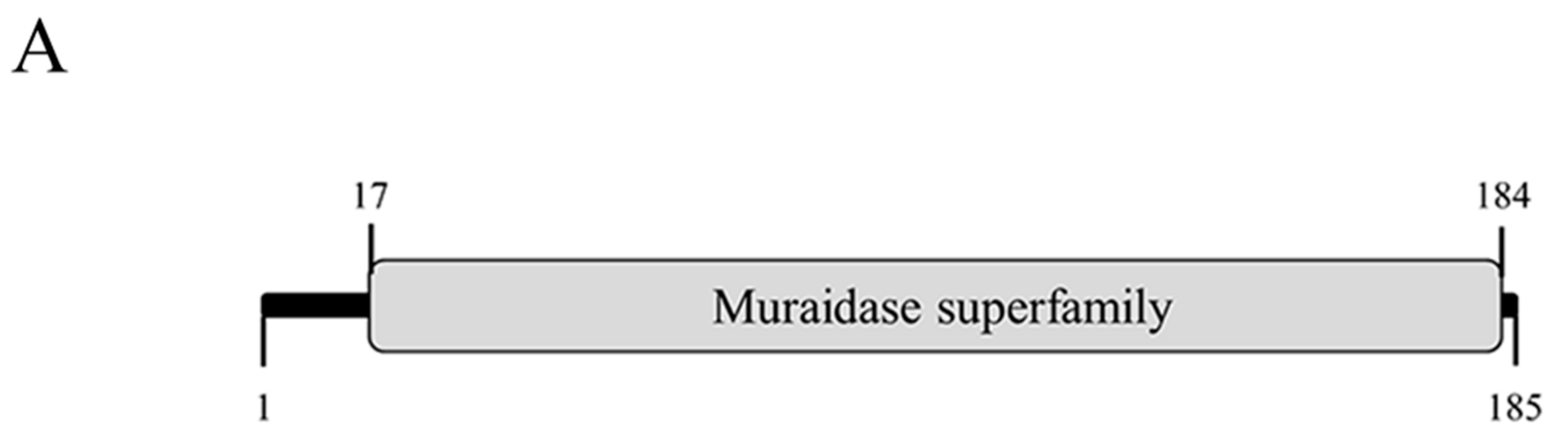 Viruses 13 00631 g005a Viruses 13 00631 g005a