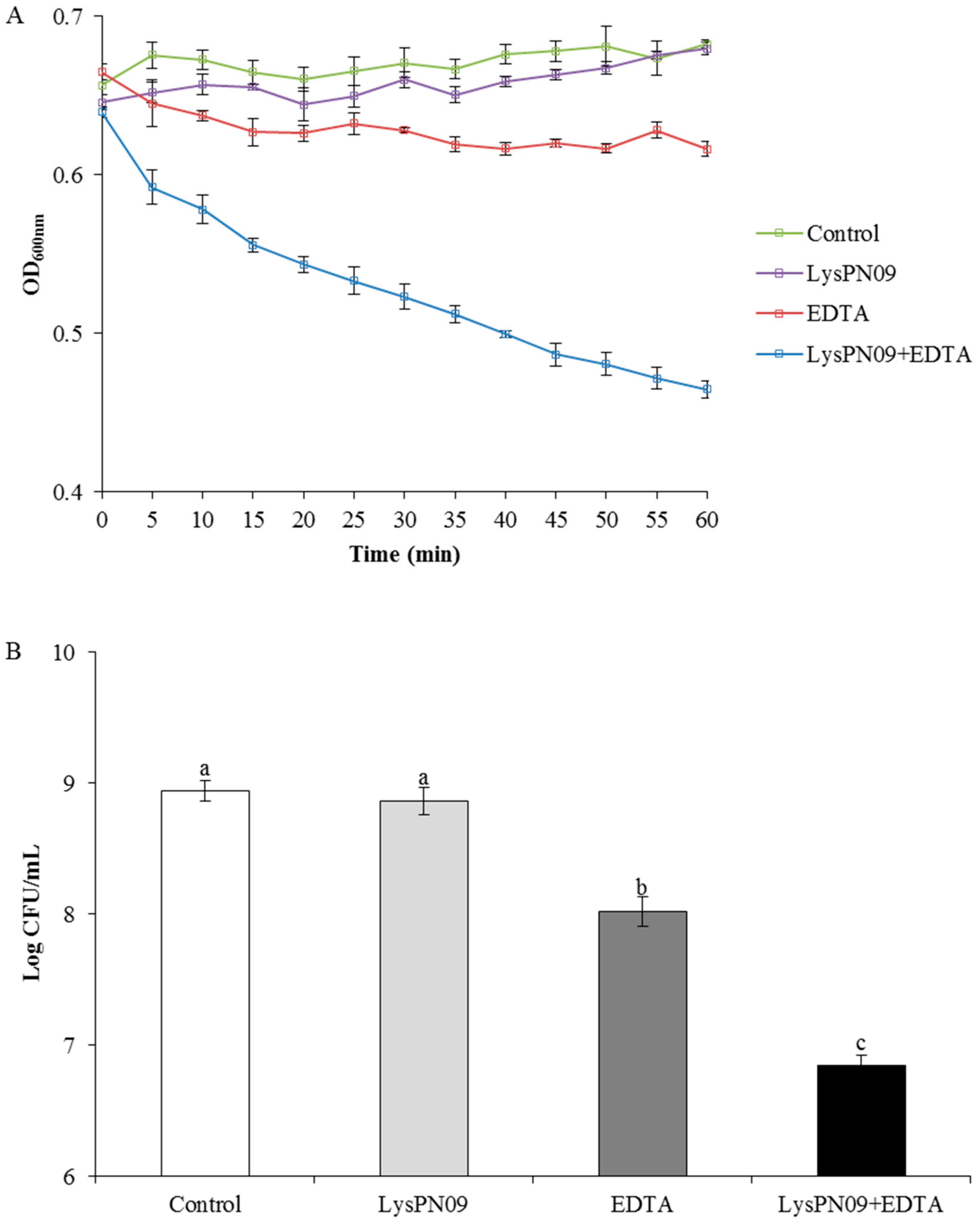 Viruses 13 00631 g008 Viruses 13 00631 g008