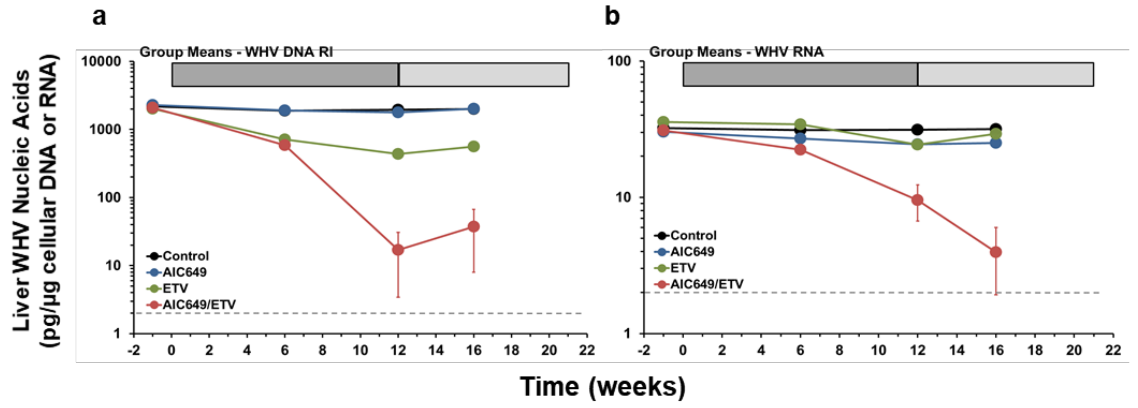 Viruses 13 00648 g004 Viruses 13 00648 g004